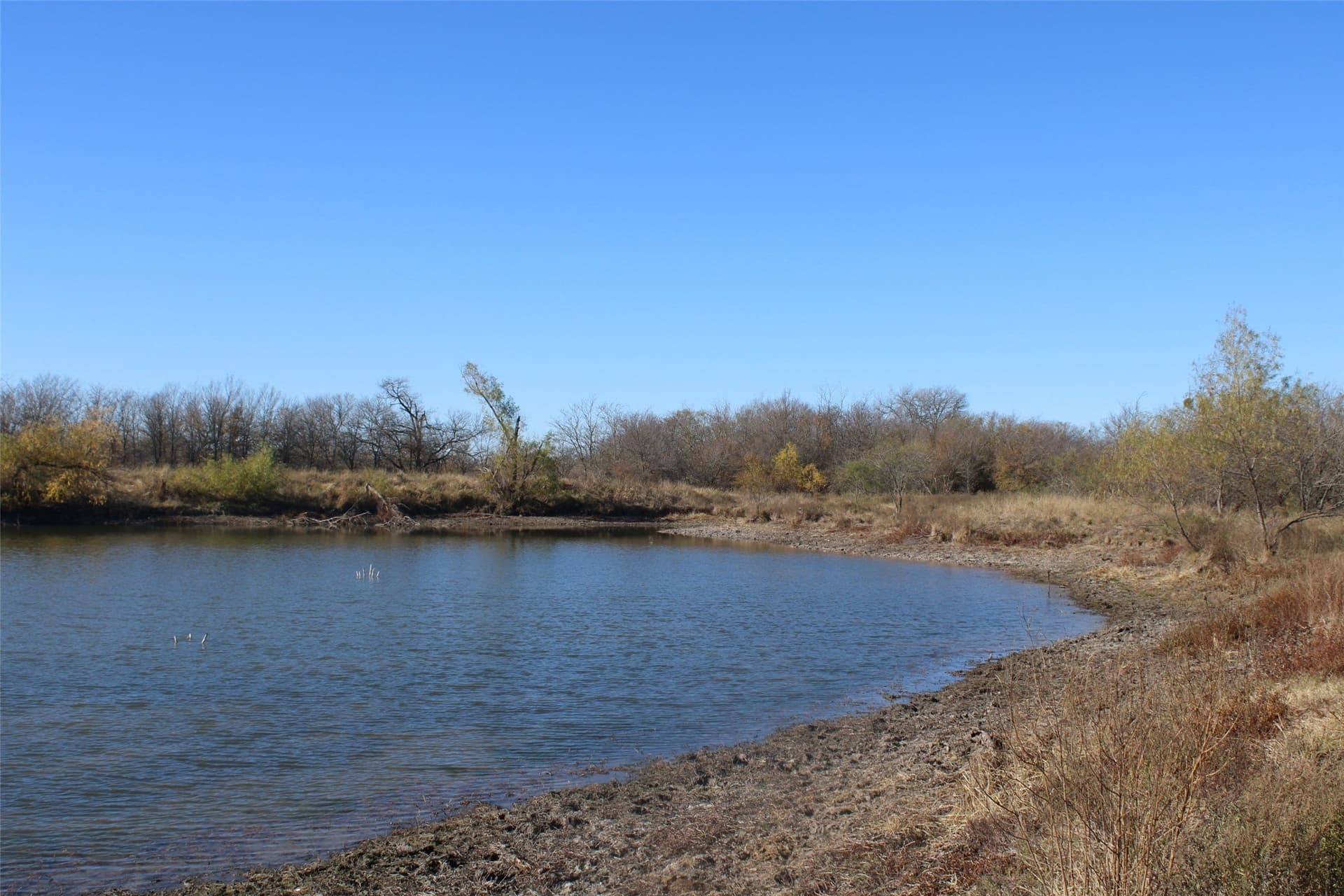 100 acres in Limestone County - photo 17