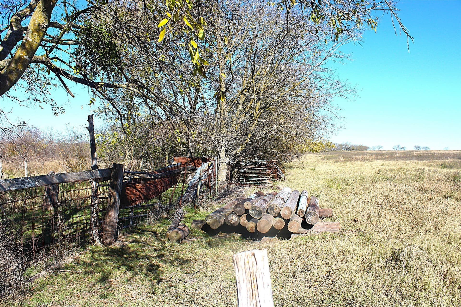 100 acres in Limestone County - photo 6