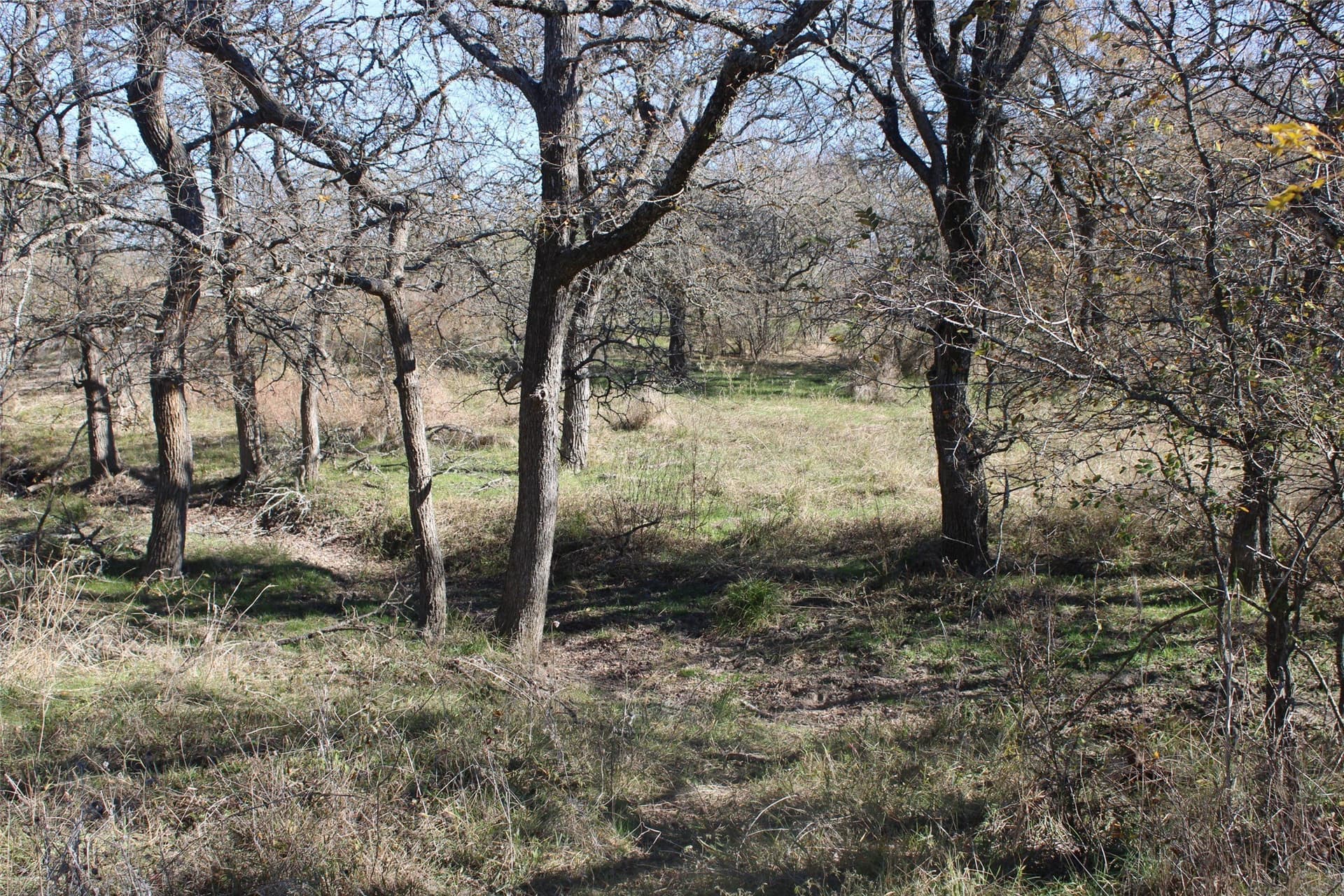 100 acres in Limestone County - photo 14