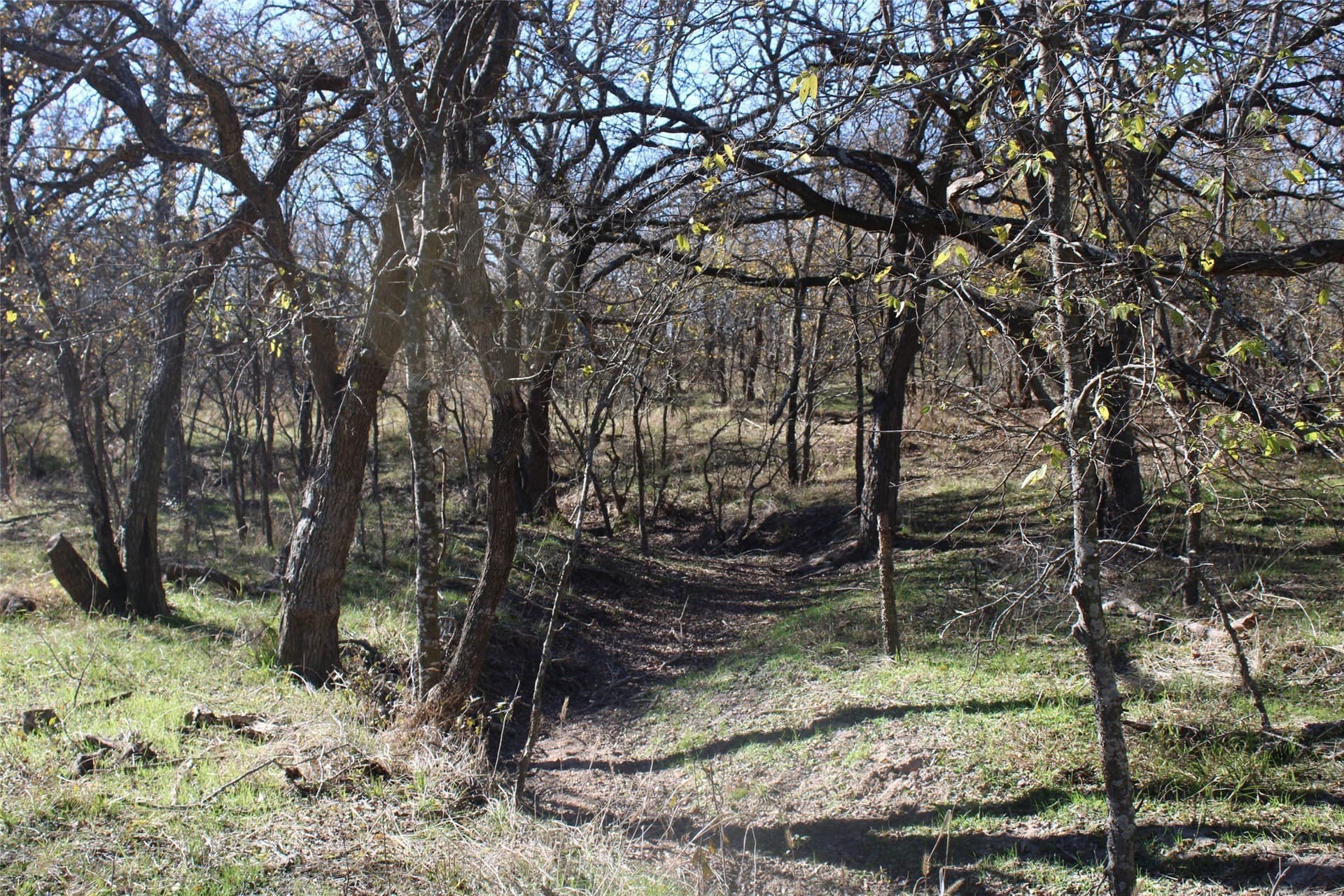 100 acres in Limestone County - photo 13