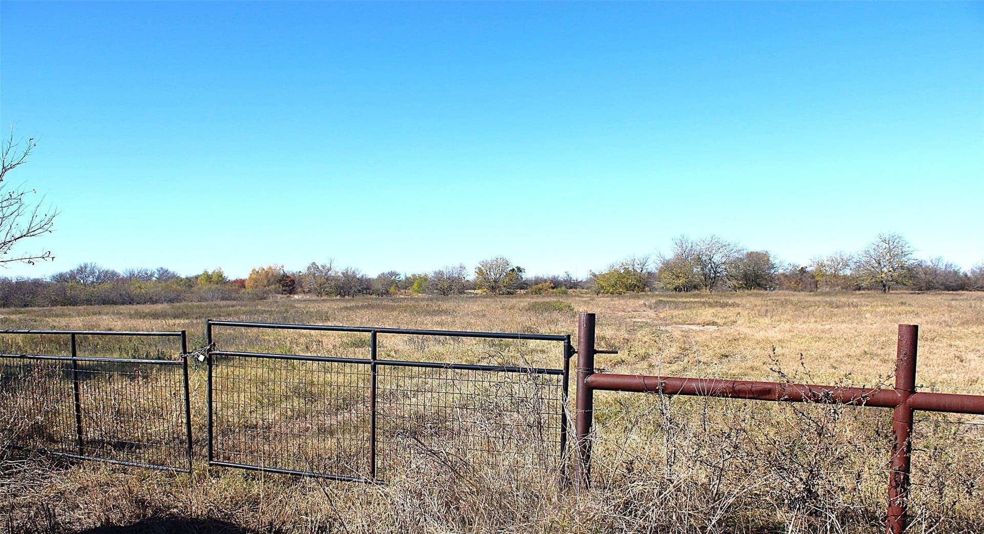 100 acres in Limestone County - photo 5
