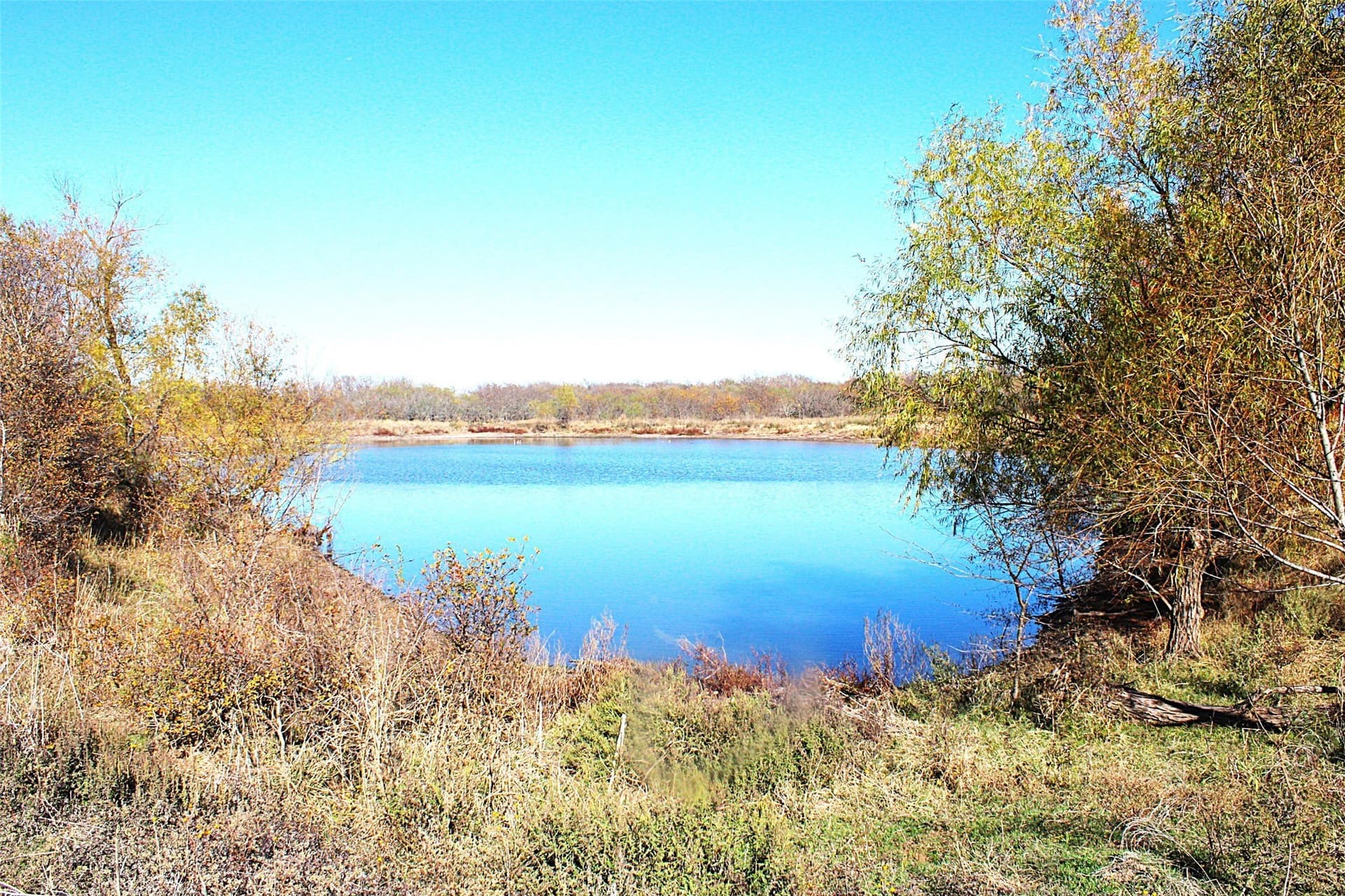 100 acres in Limestone County - photo 10