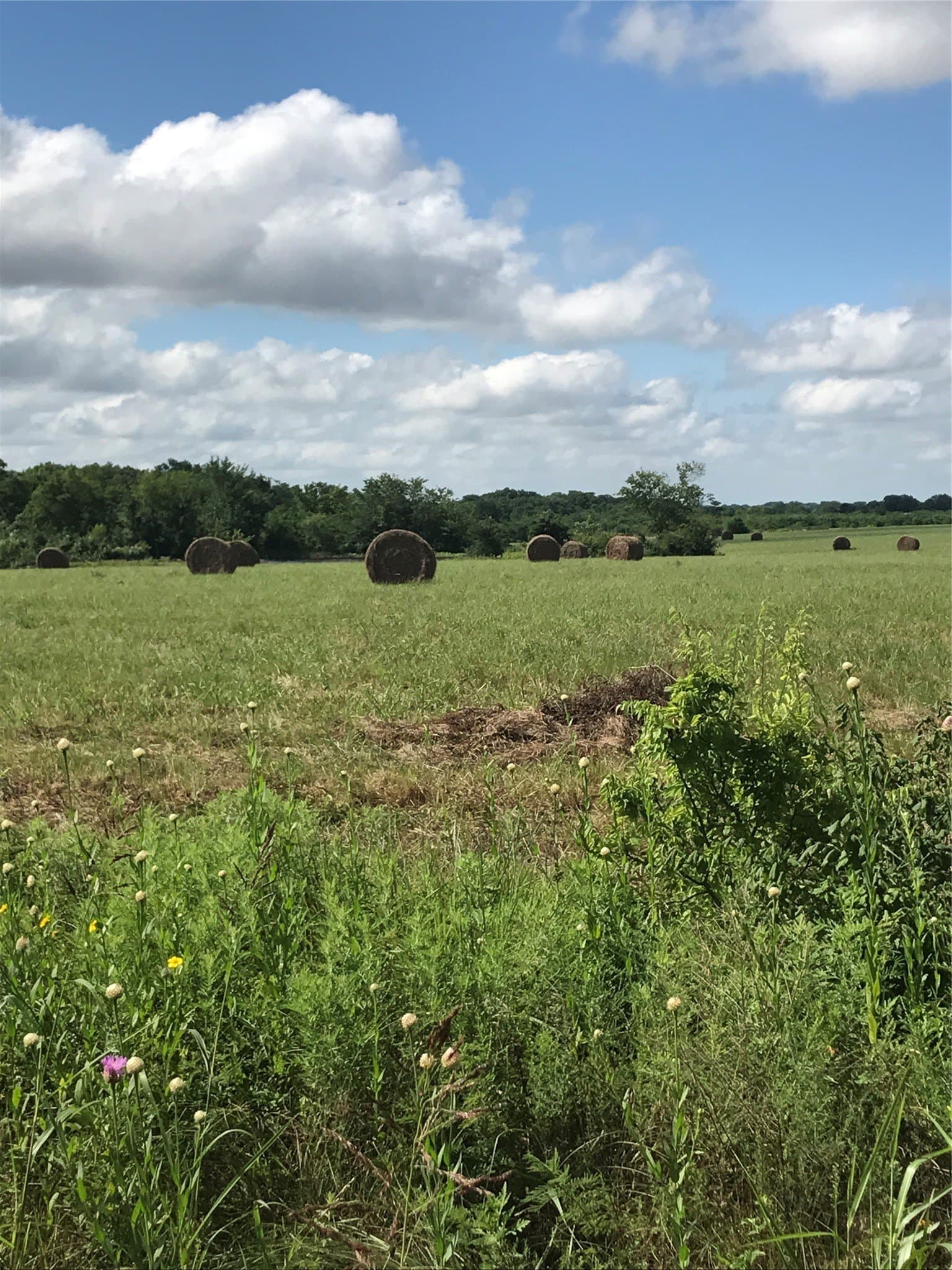 22.5 acres in Van Zandt County gallery image 3