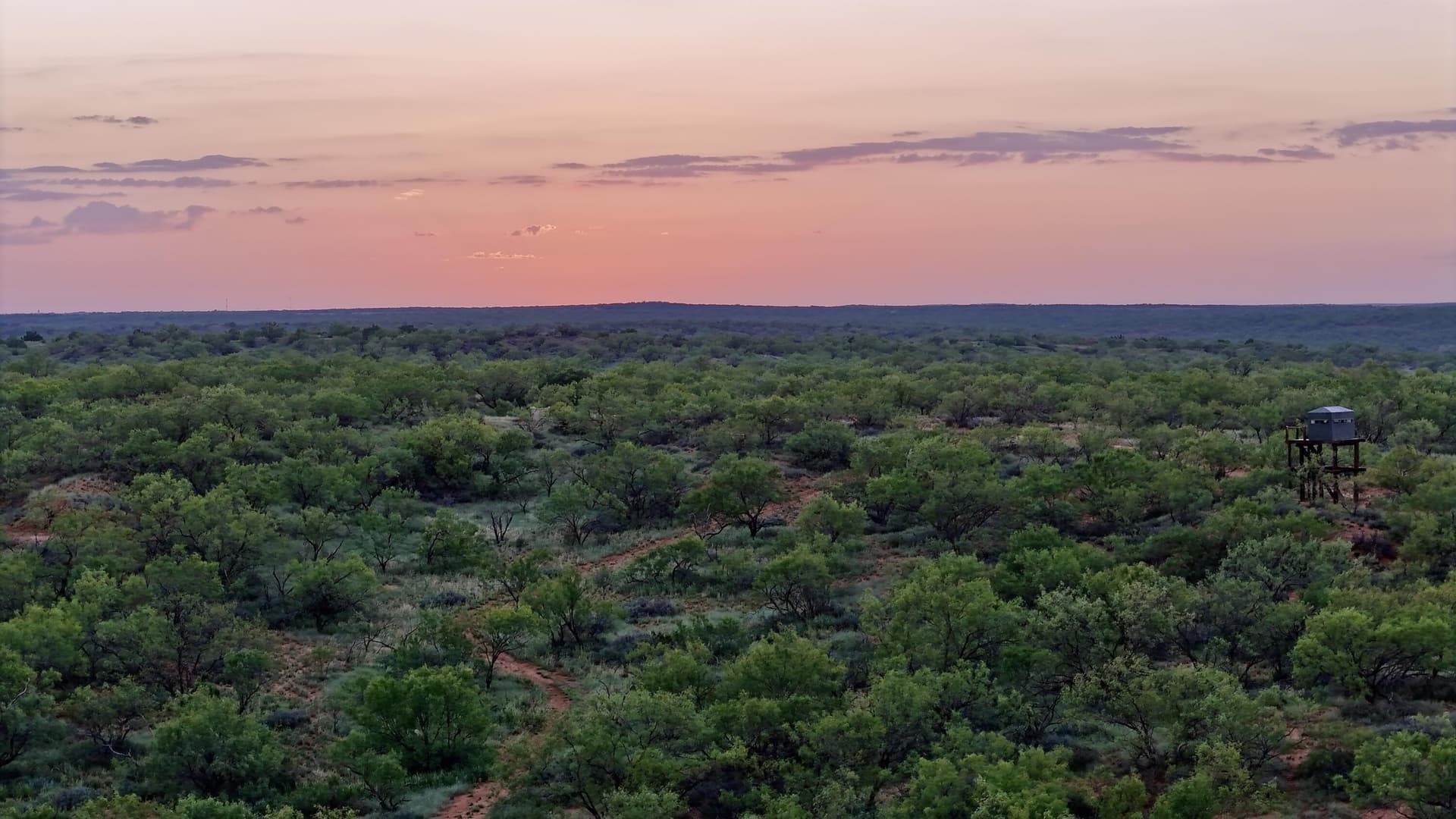 401 acres in Stonewall County - photo 46