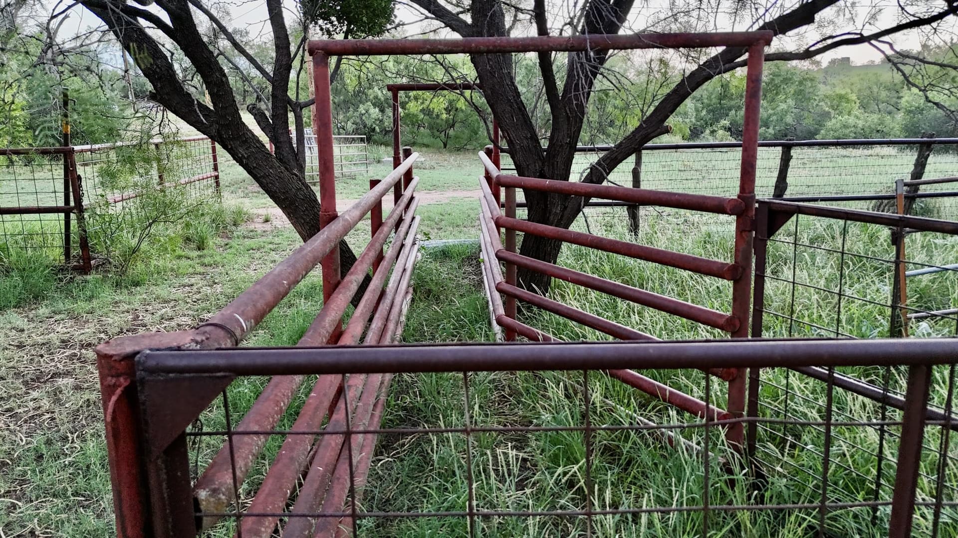 401 acres in Stonewall County - photo 50