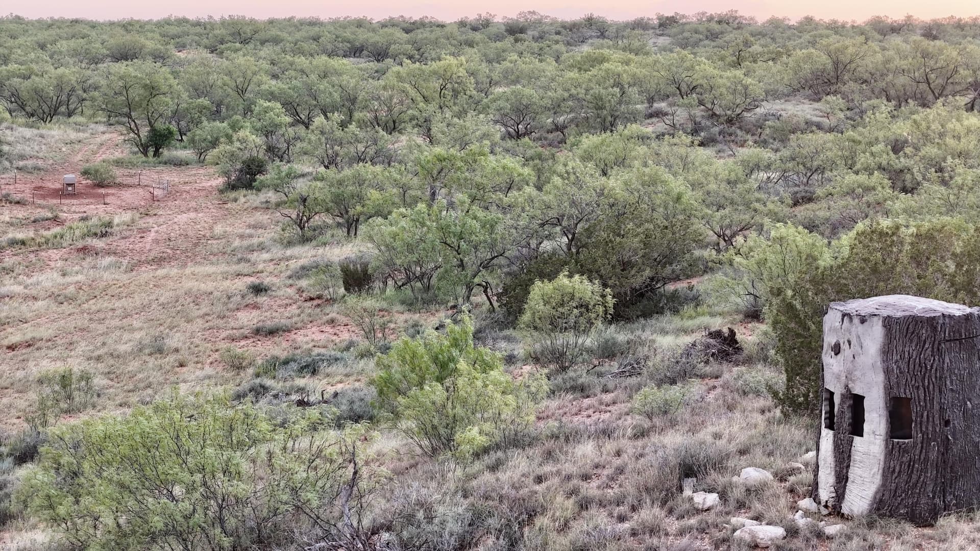 401 acres in Stonewall County - photo 12