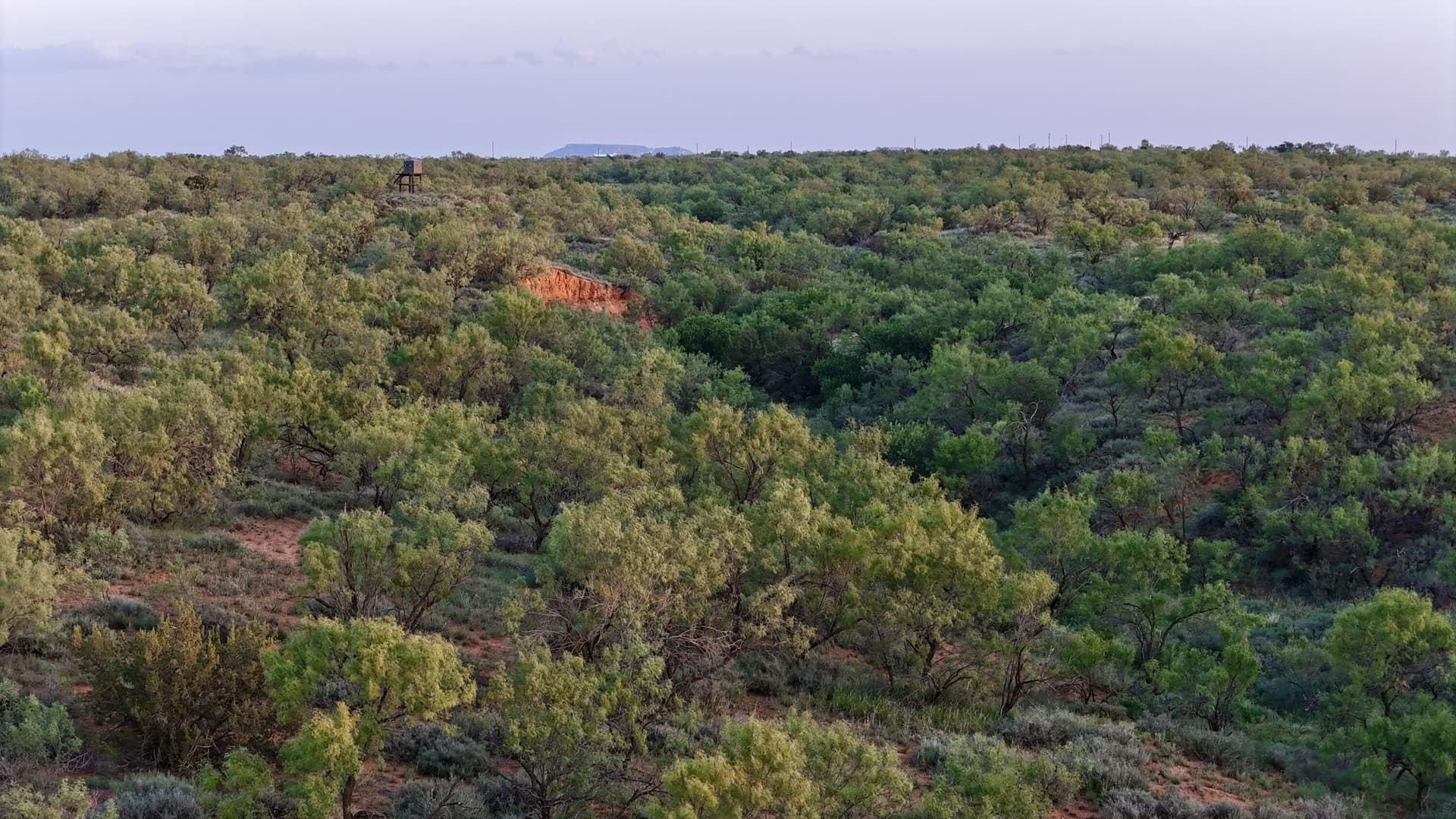 401 acres in Stonewall County - photo 37