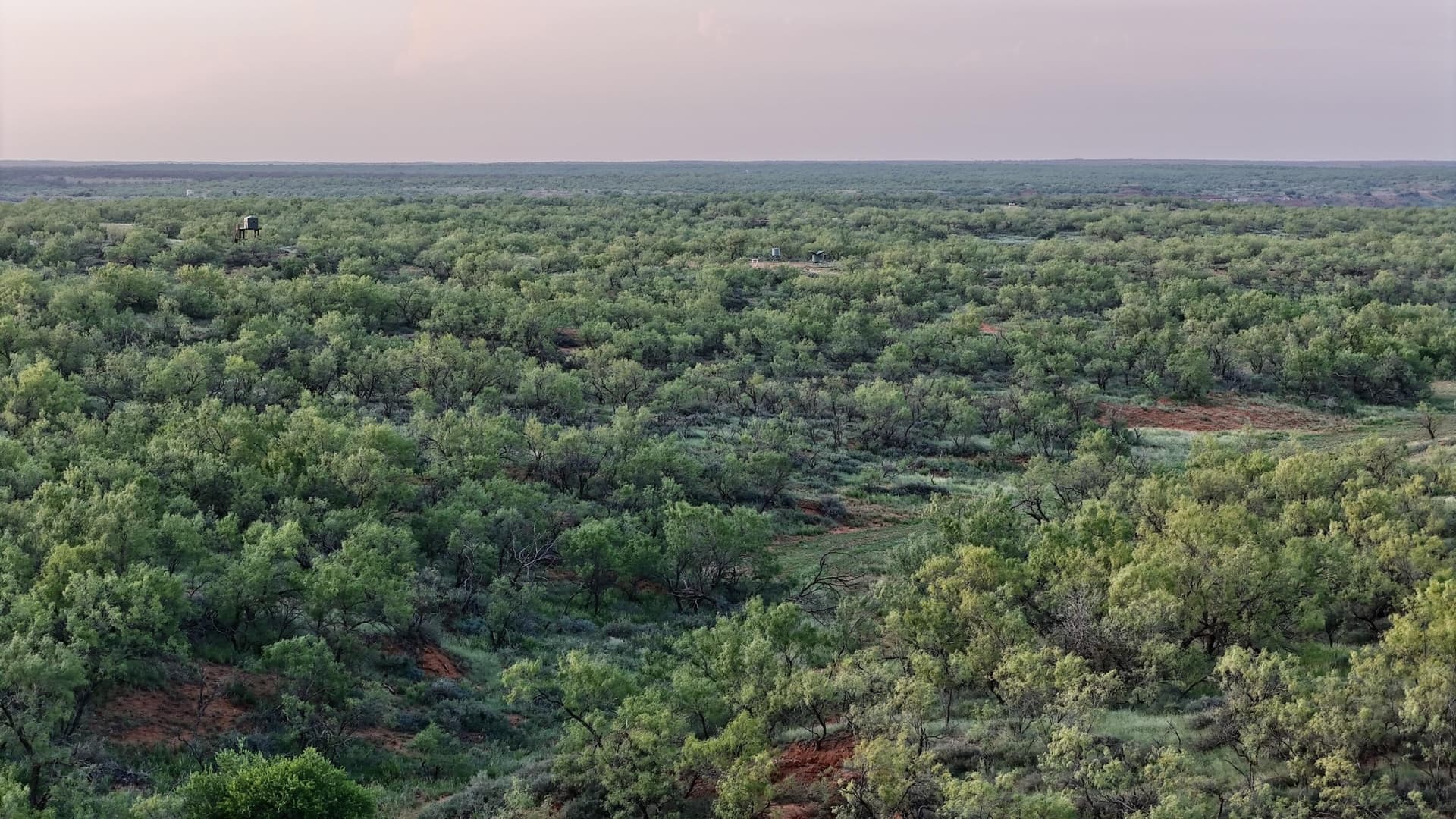 401 acres in Stonewall County - photo 29