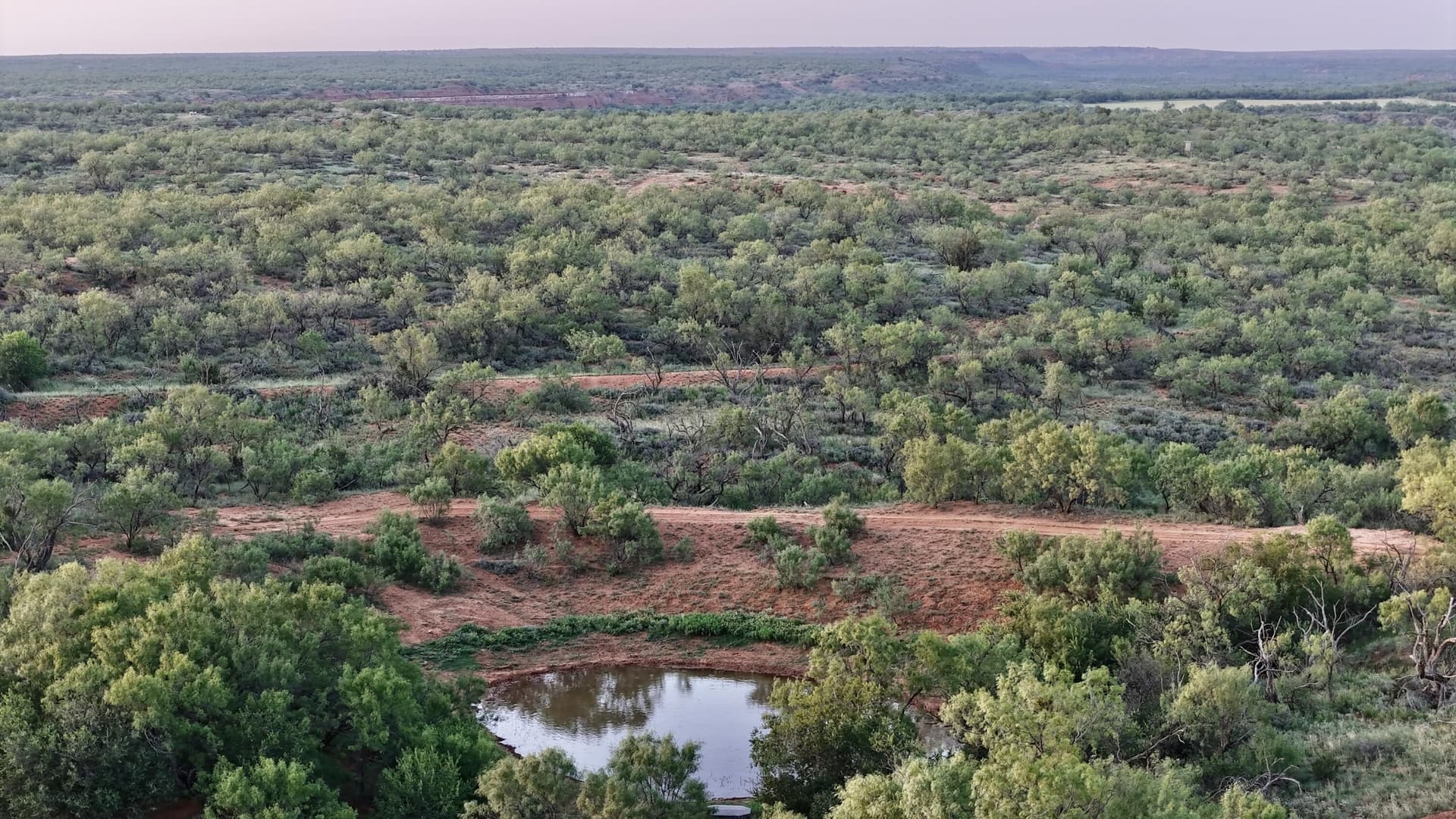 401 acres in Stonewall County - photo 30