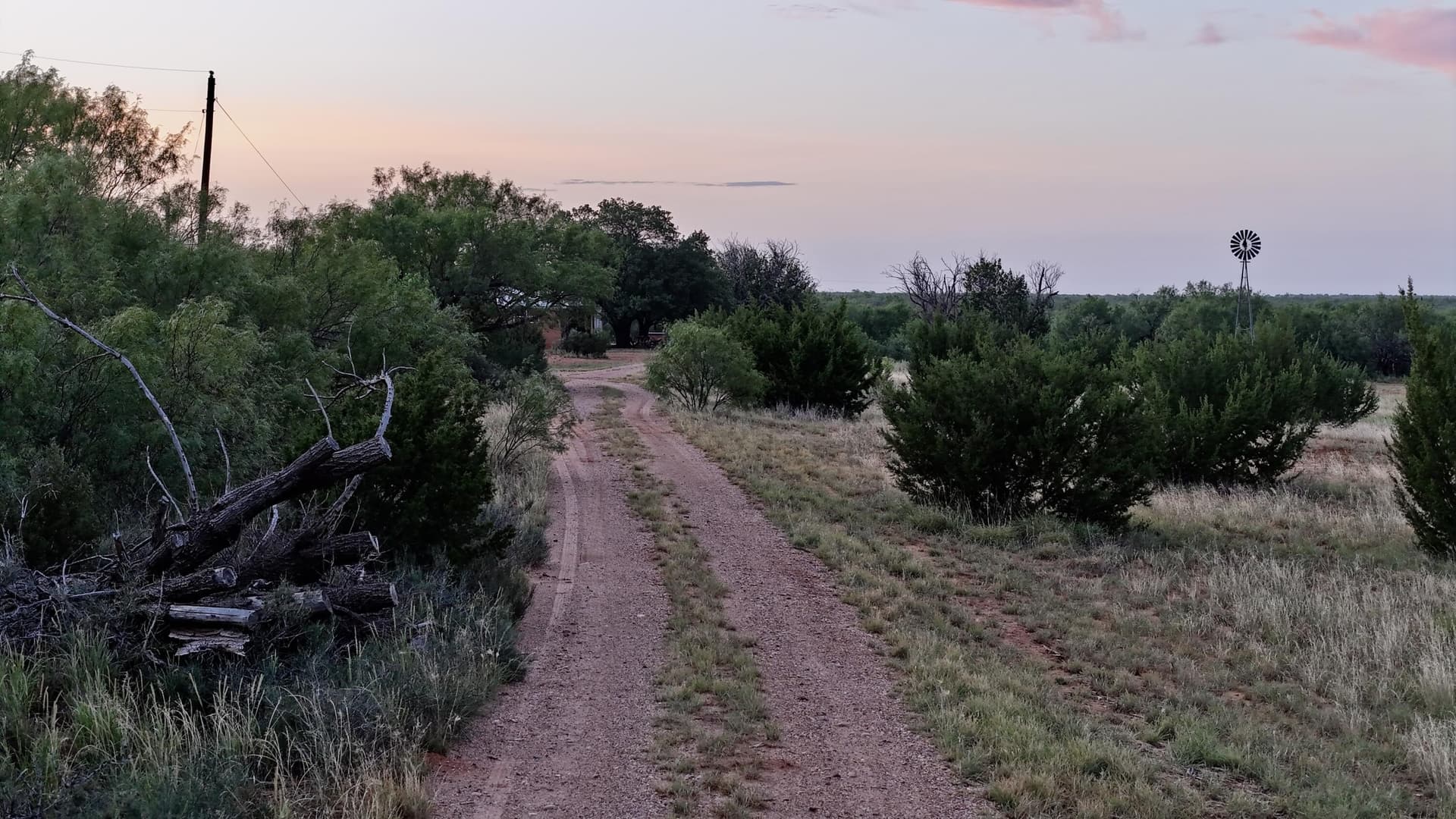 401 acres in Stonewall County - photo 26
