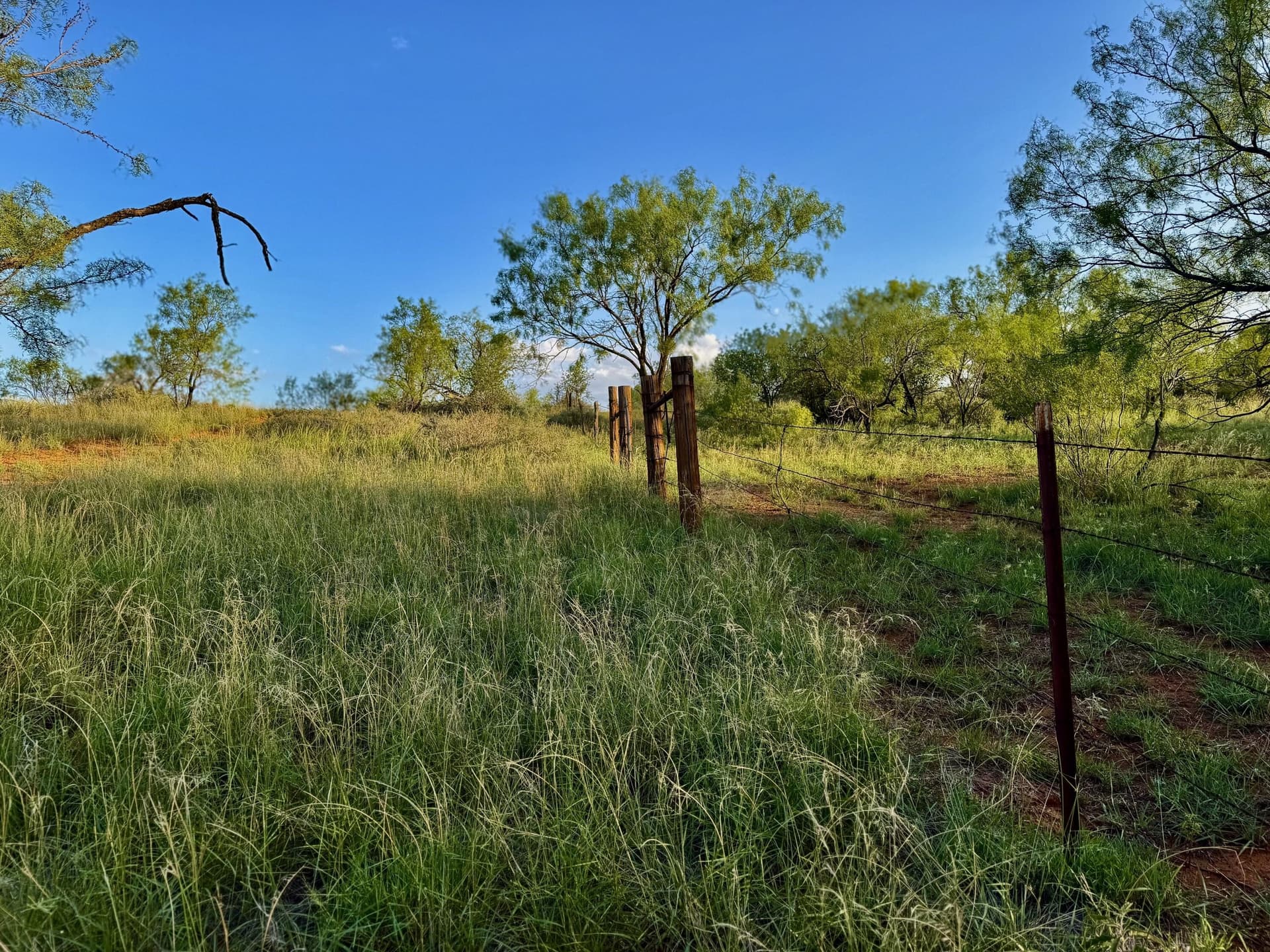 401 acres in Stonewall County - photo 66