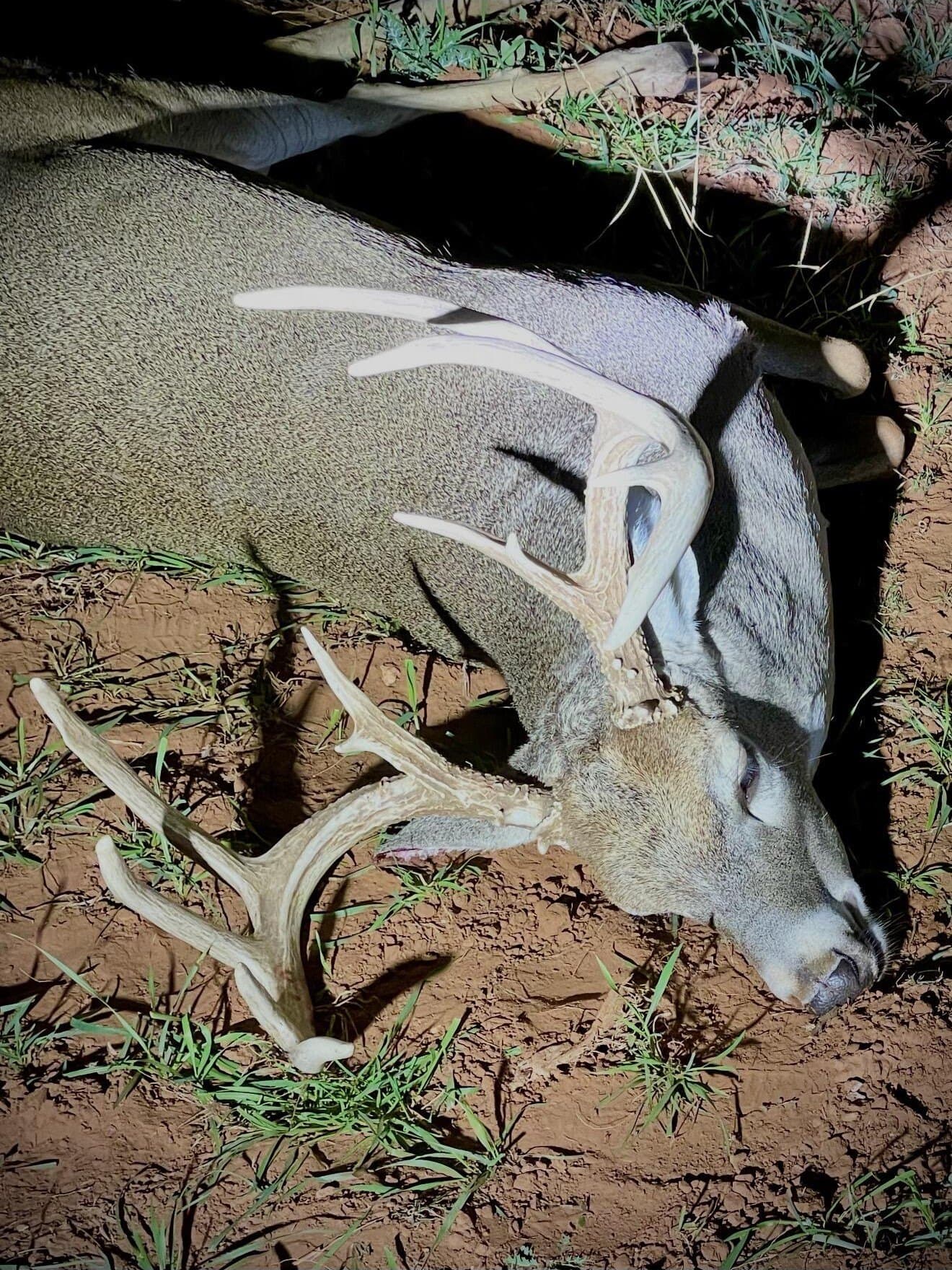 401 acres in Stonewall County - photo 81