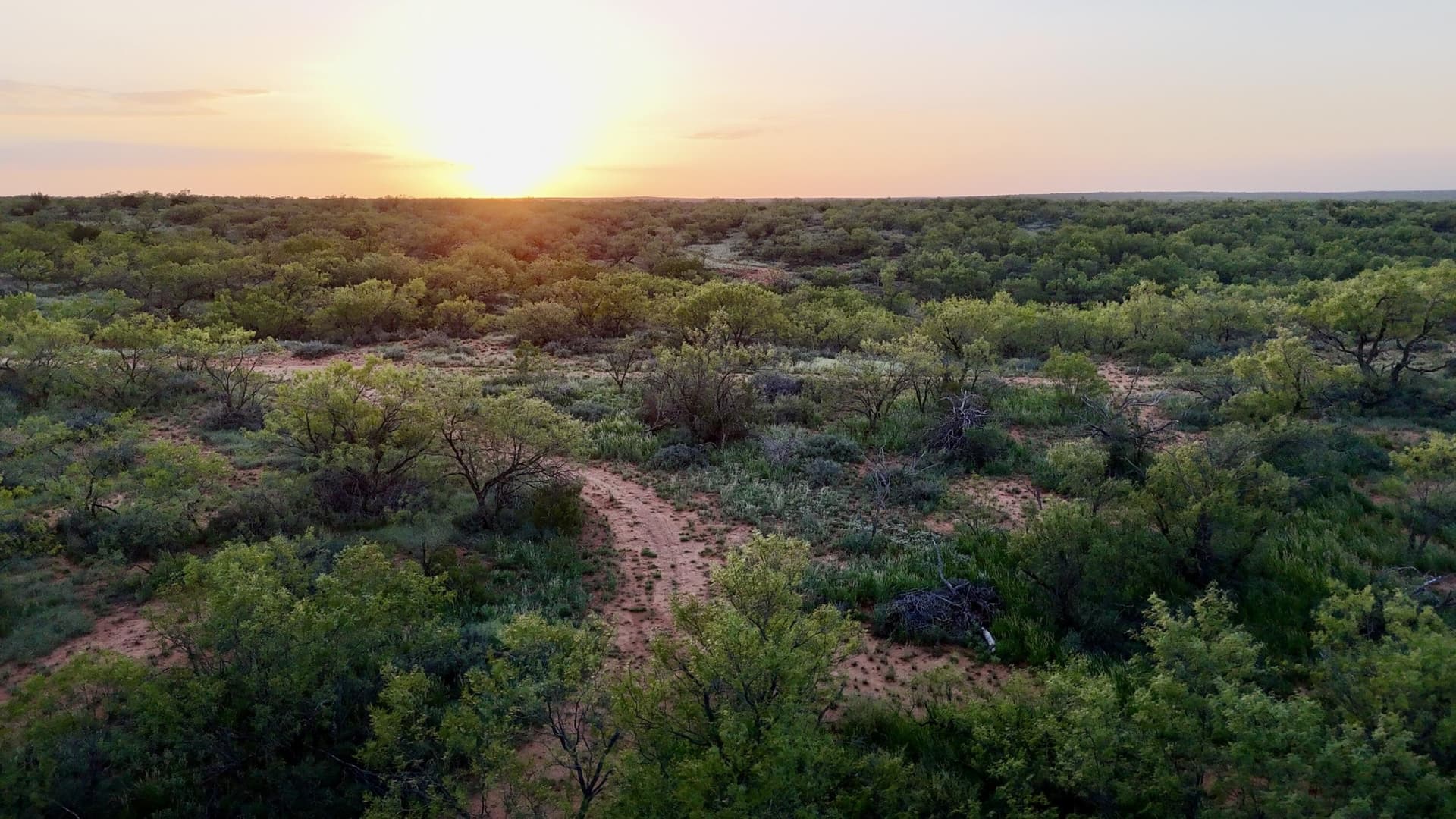 401 acres in Stonewall County - photo 41
