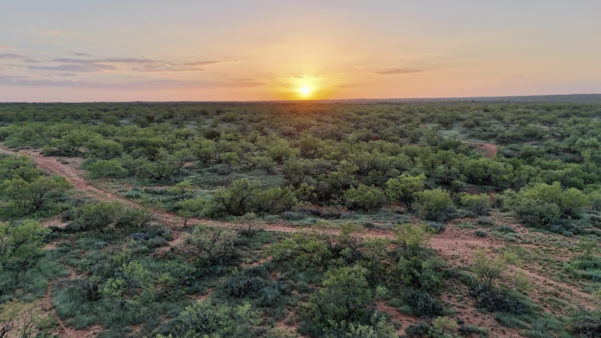 401 acres in Stonewall County - photo 42