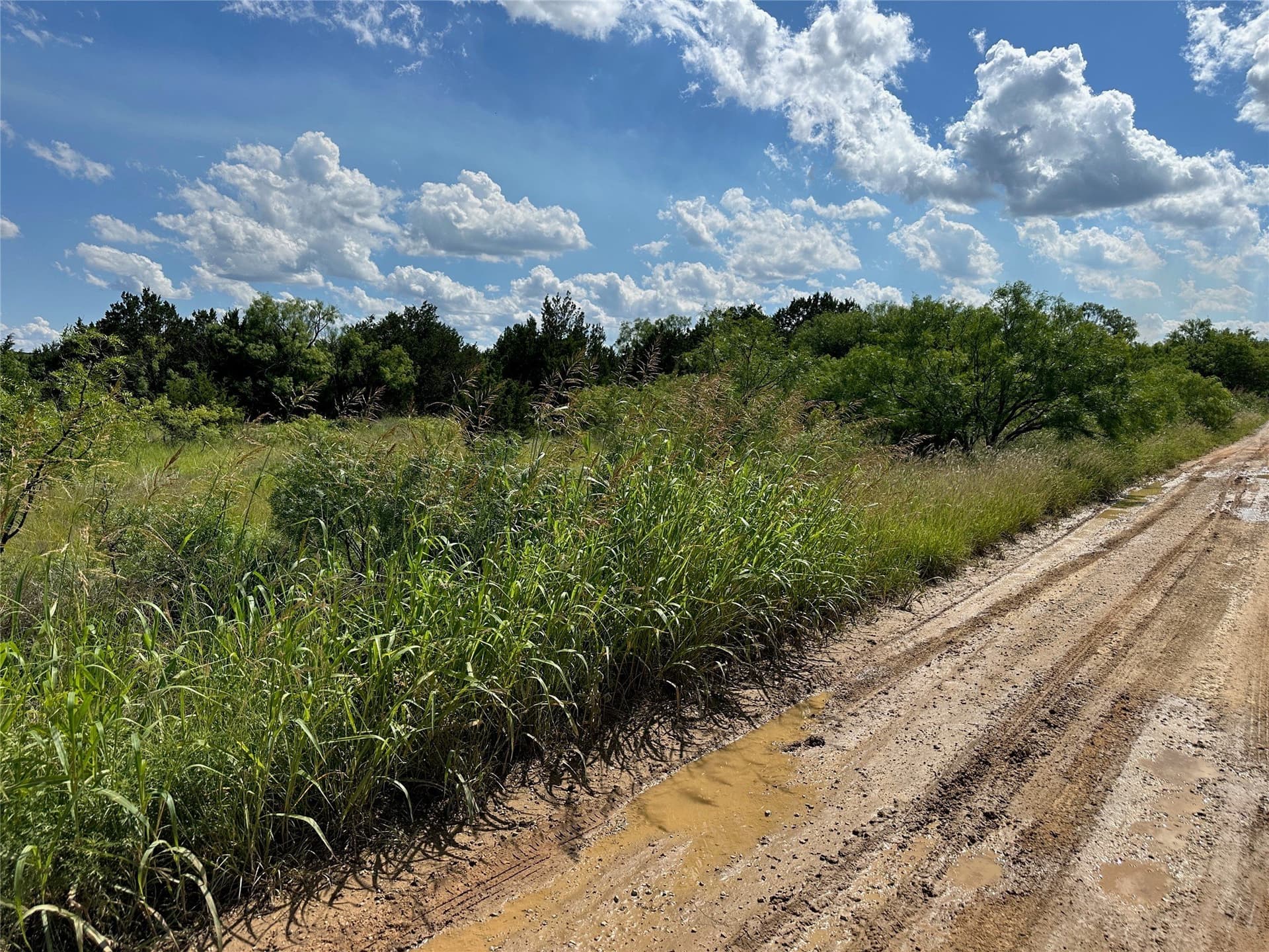 10.2 acres in Brown County - photo 9