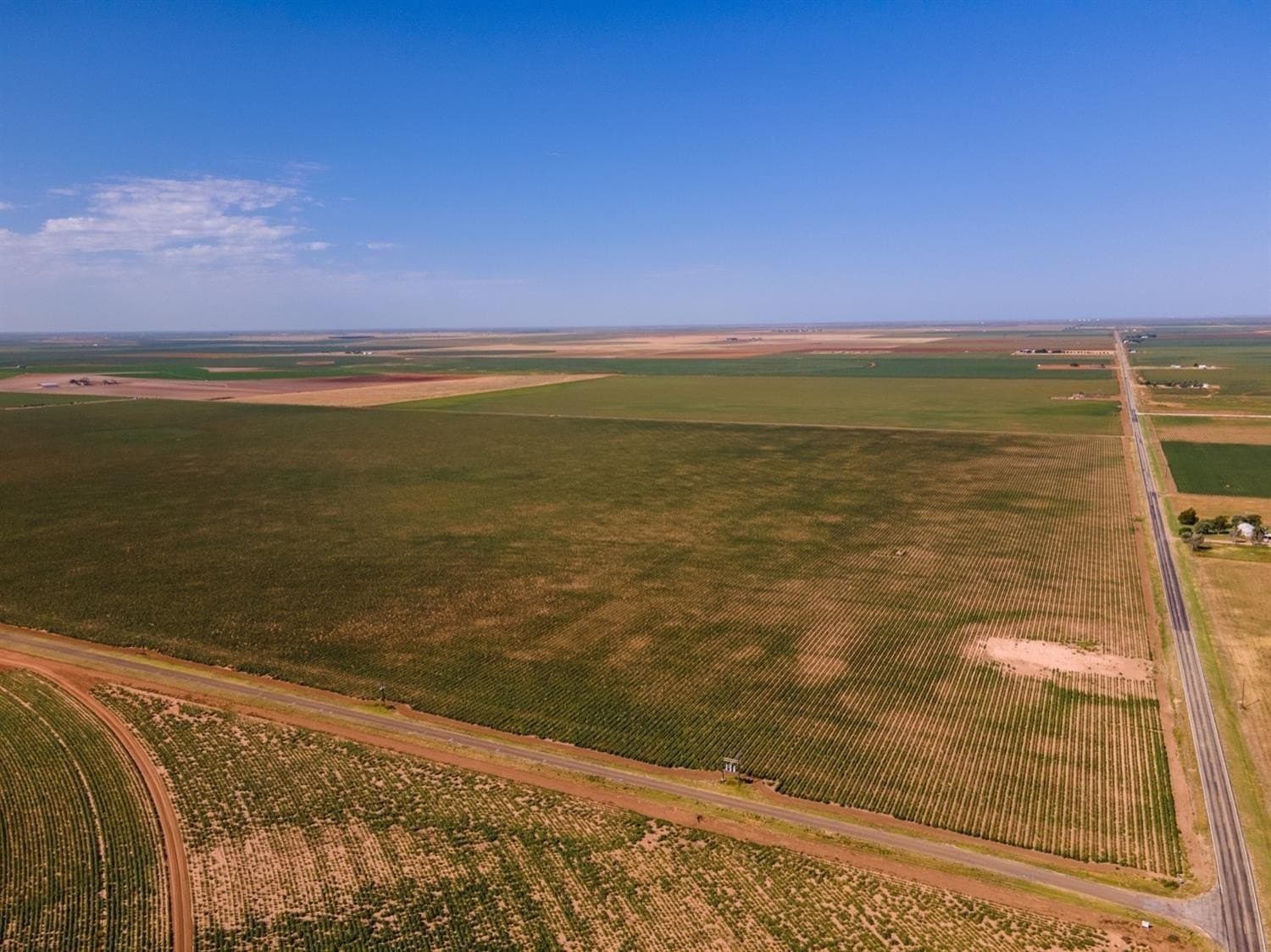 338 acres in Hockley County gallery image 3