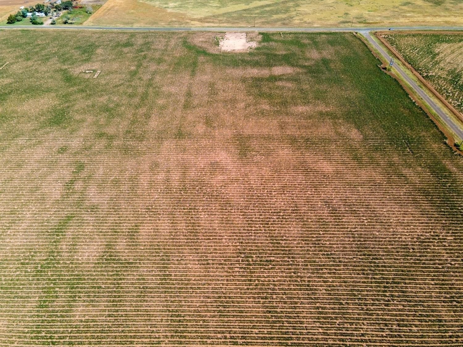 338 acres in Hockley County featured view