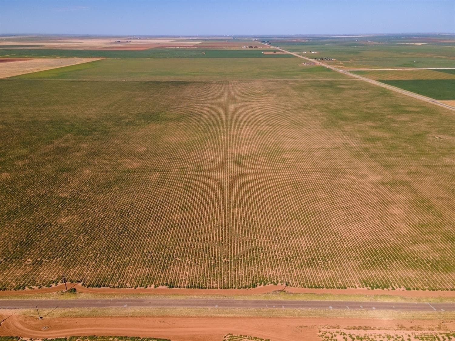 338 acres in Hockley County gallery image 4