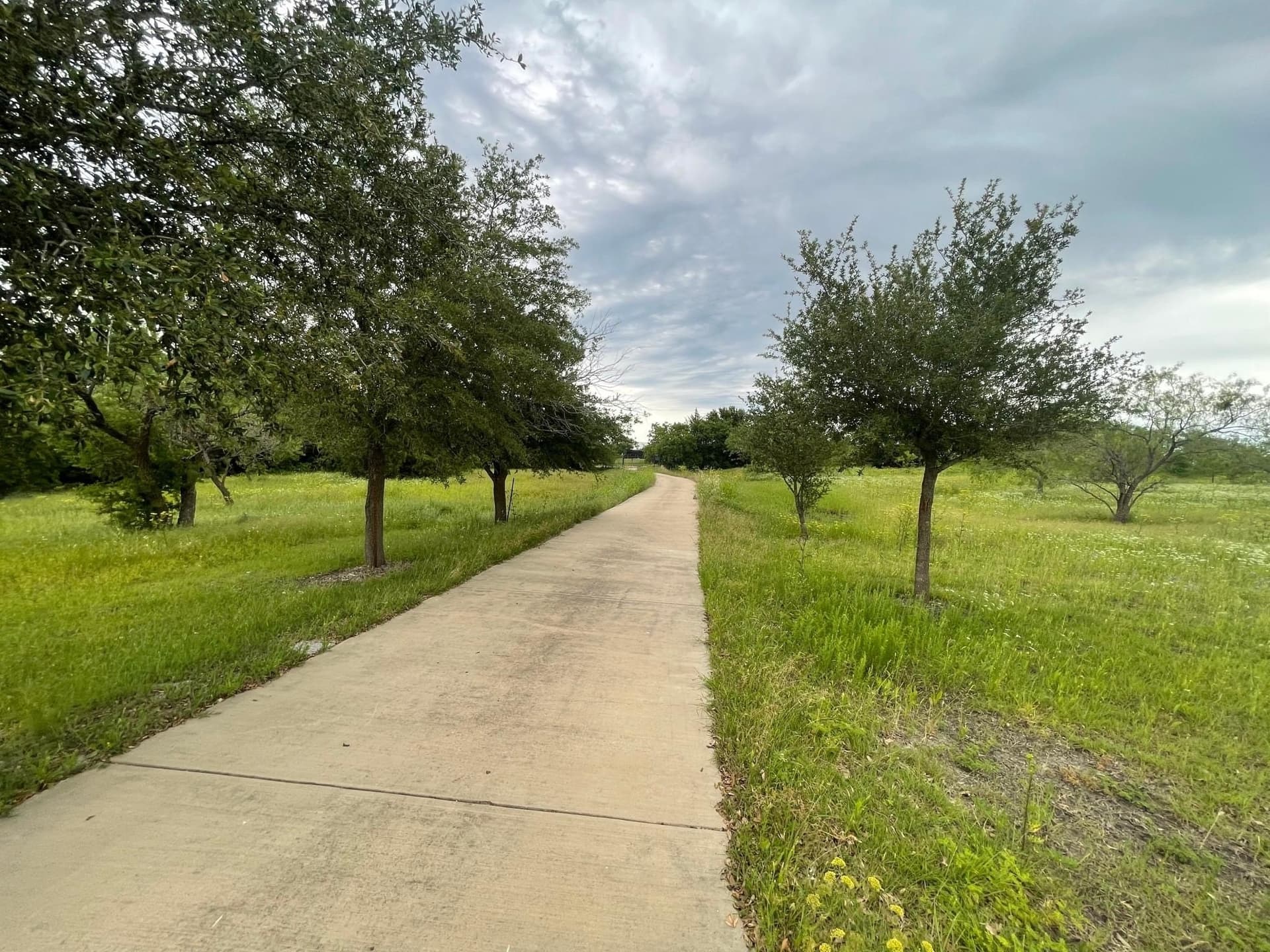 15 acres in Ellis County - photo 23