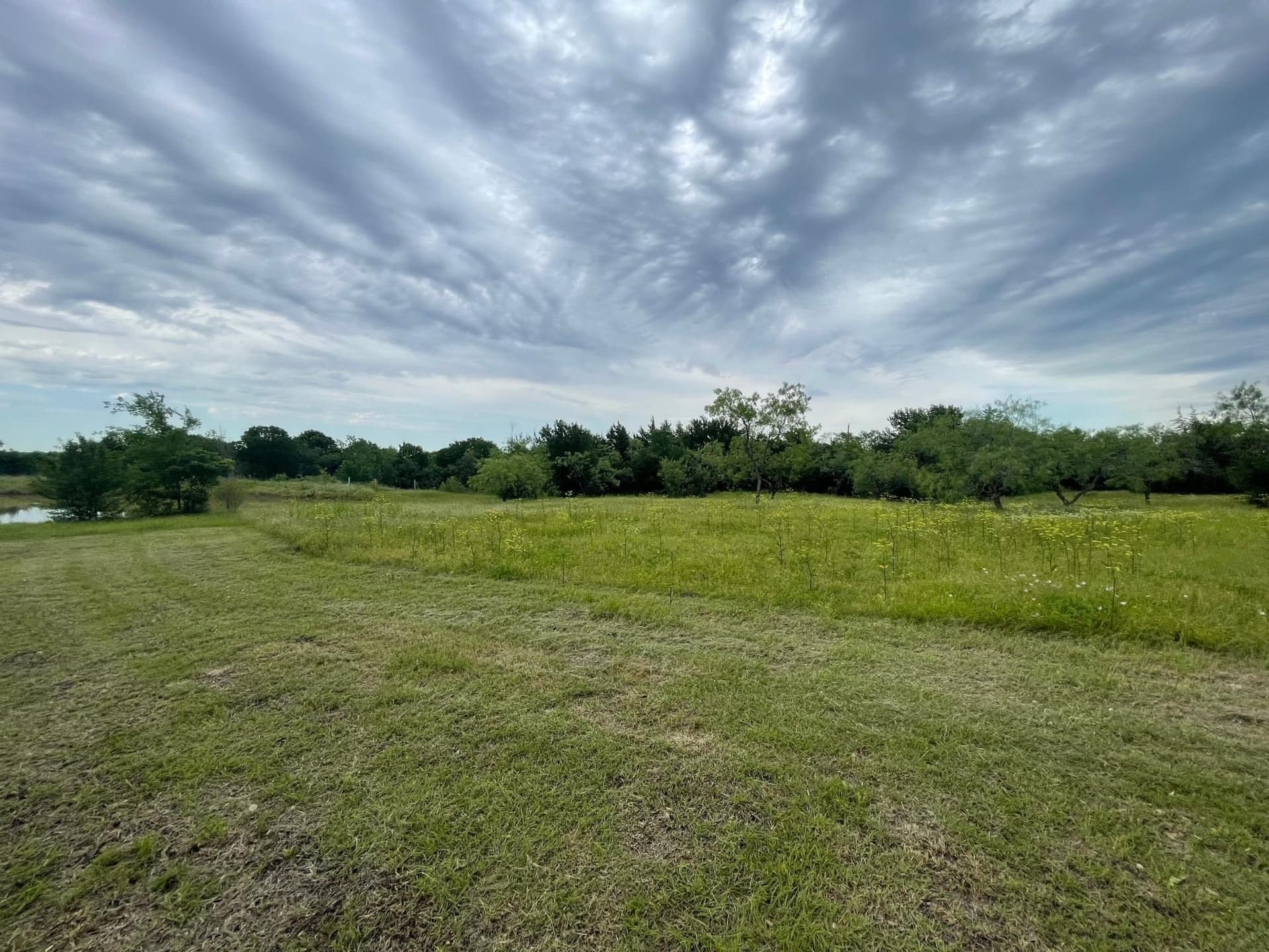 15 acres in Ellis County - photo 18