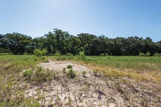 10.01 acres in Hamilton County - photo 11