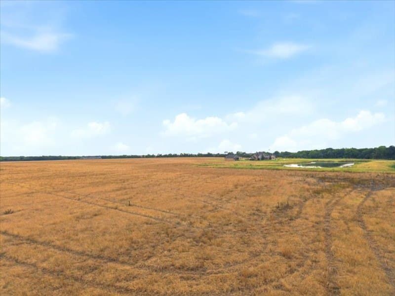 44 acres in Collin County - photo 15
