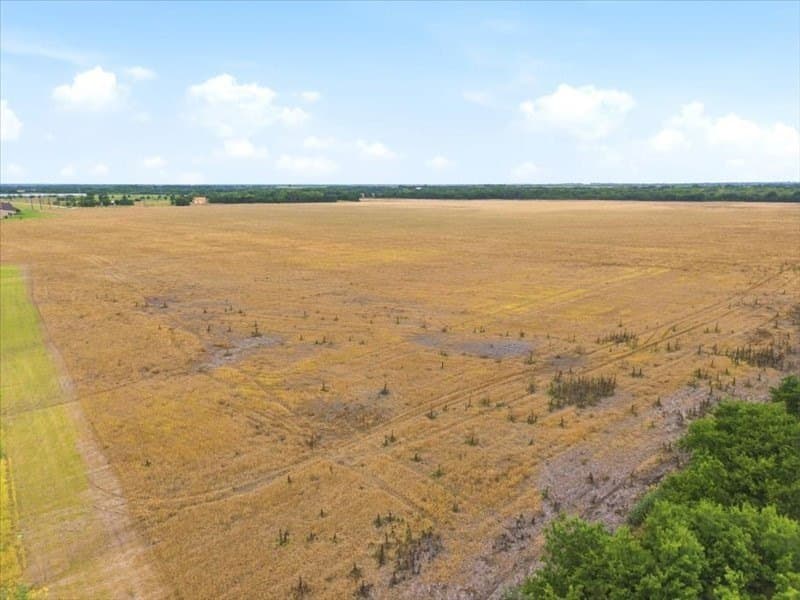 44 acres in Collin County - photo 10