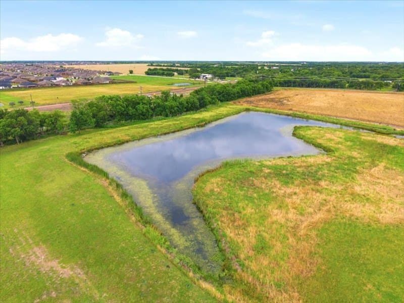 44 acres in Collin County - photo 18