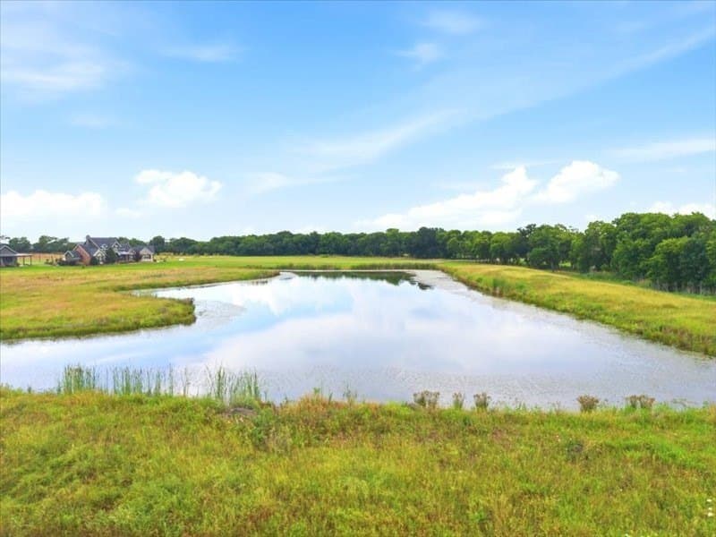 44 acres in Collin County - photo 16