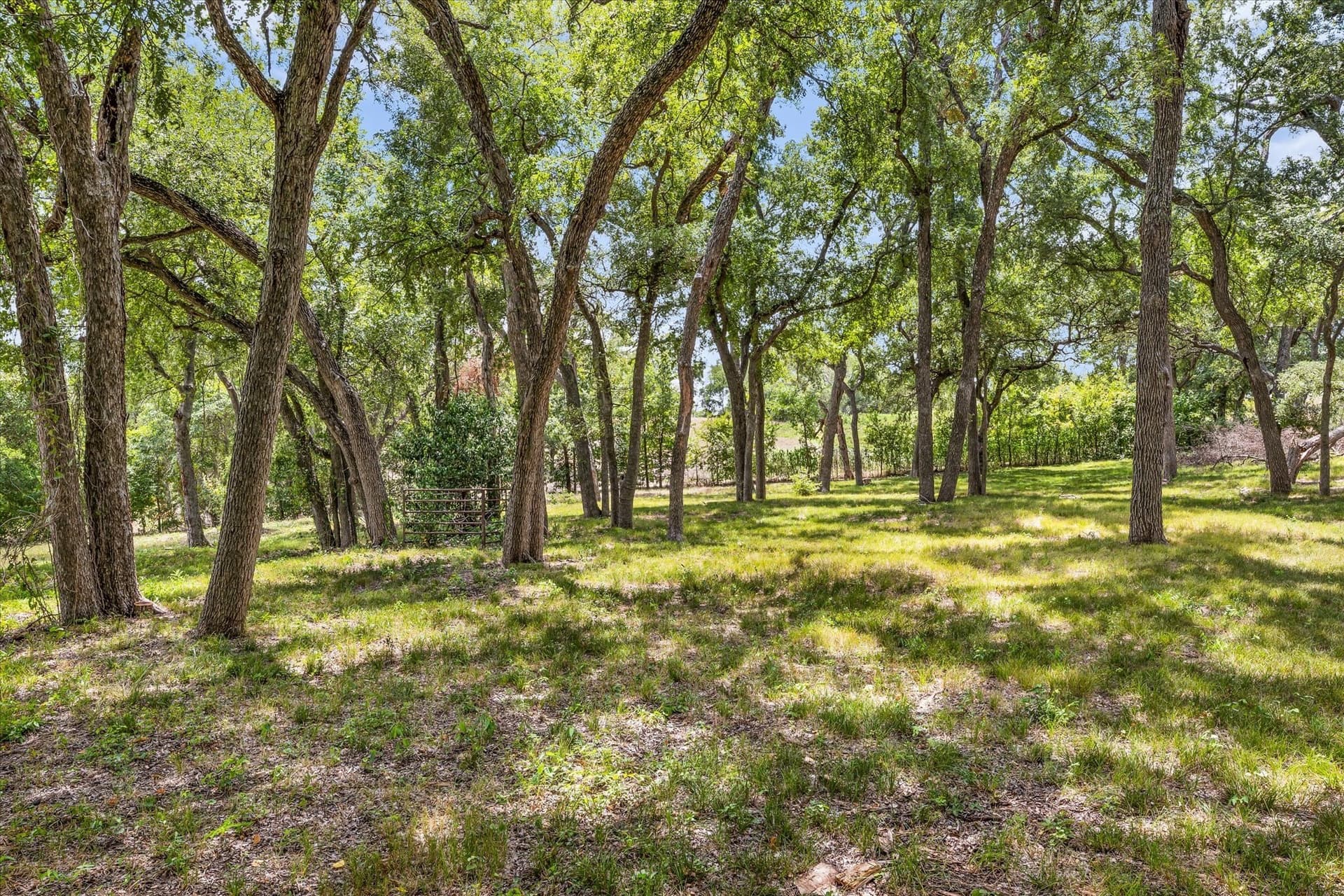 12.95 acres in McLennan County - photo 34