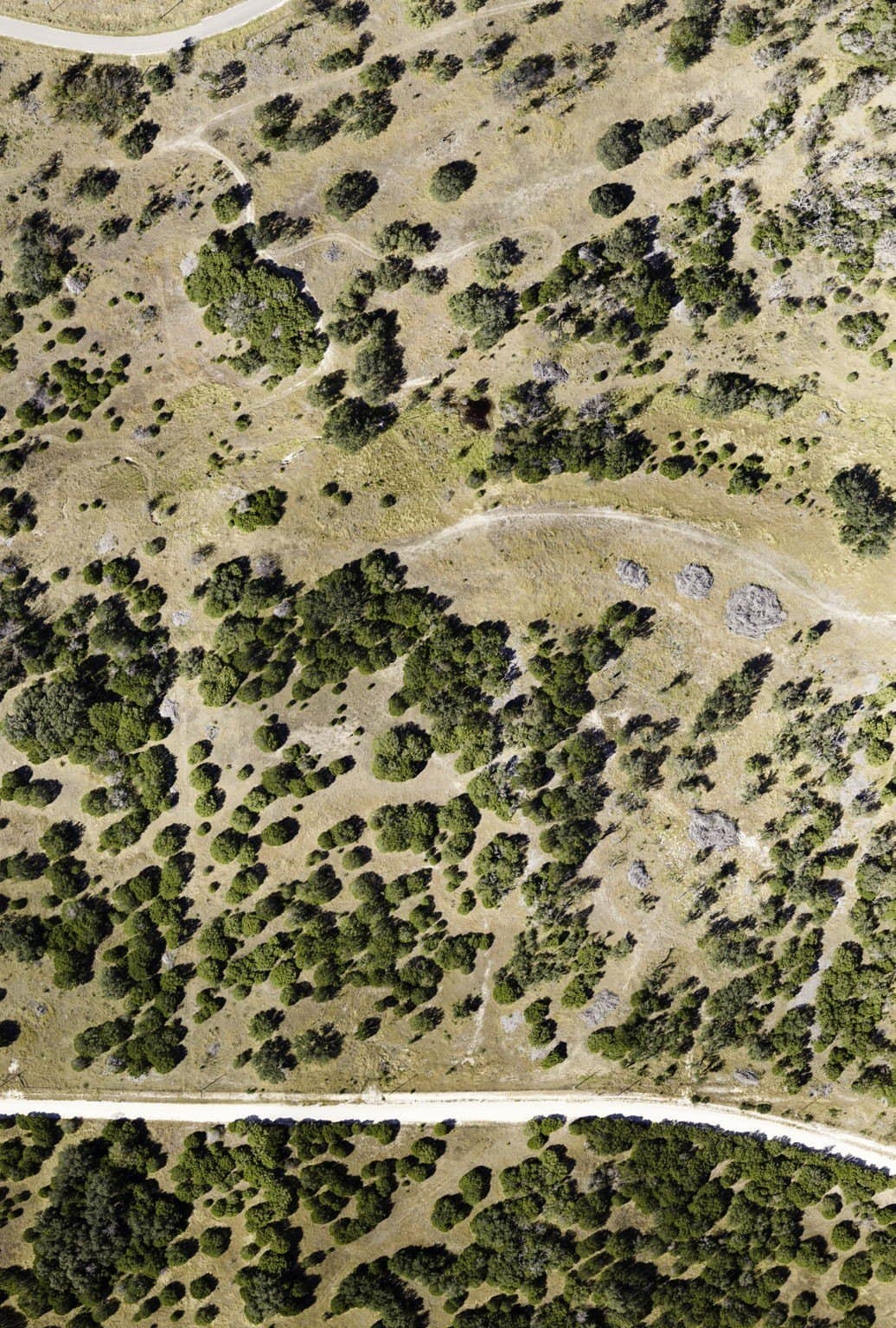 10.01 acres in Coryell County - photo 21