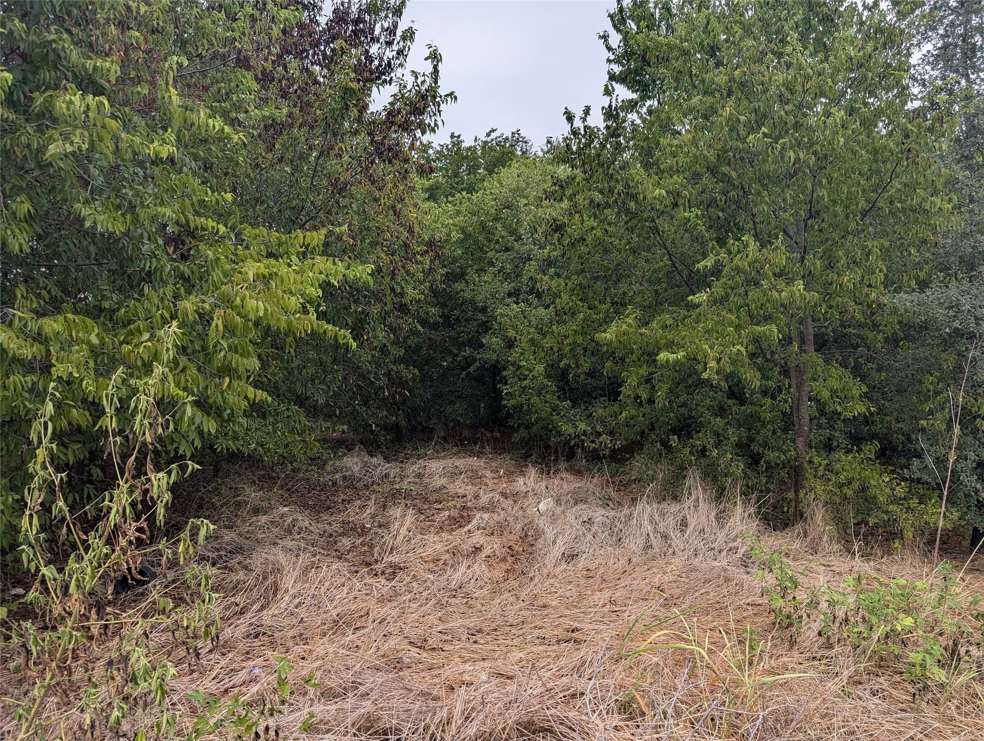0.28 acres in Parker County - photo 4