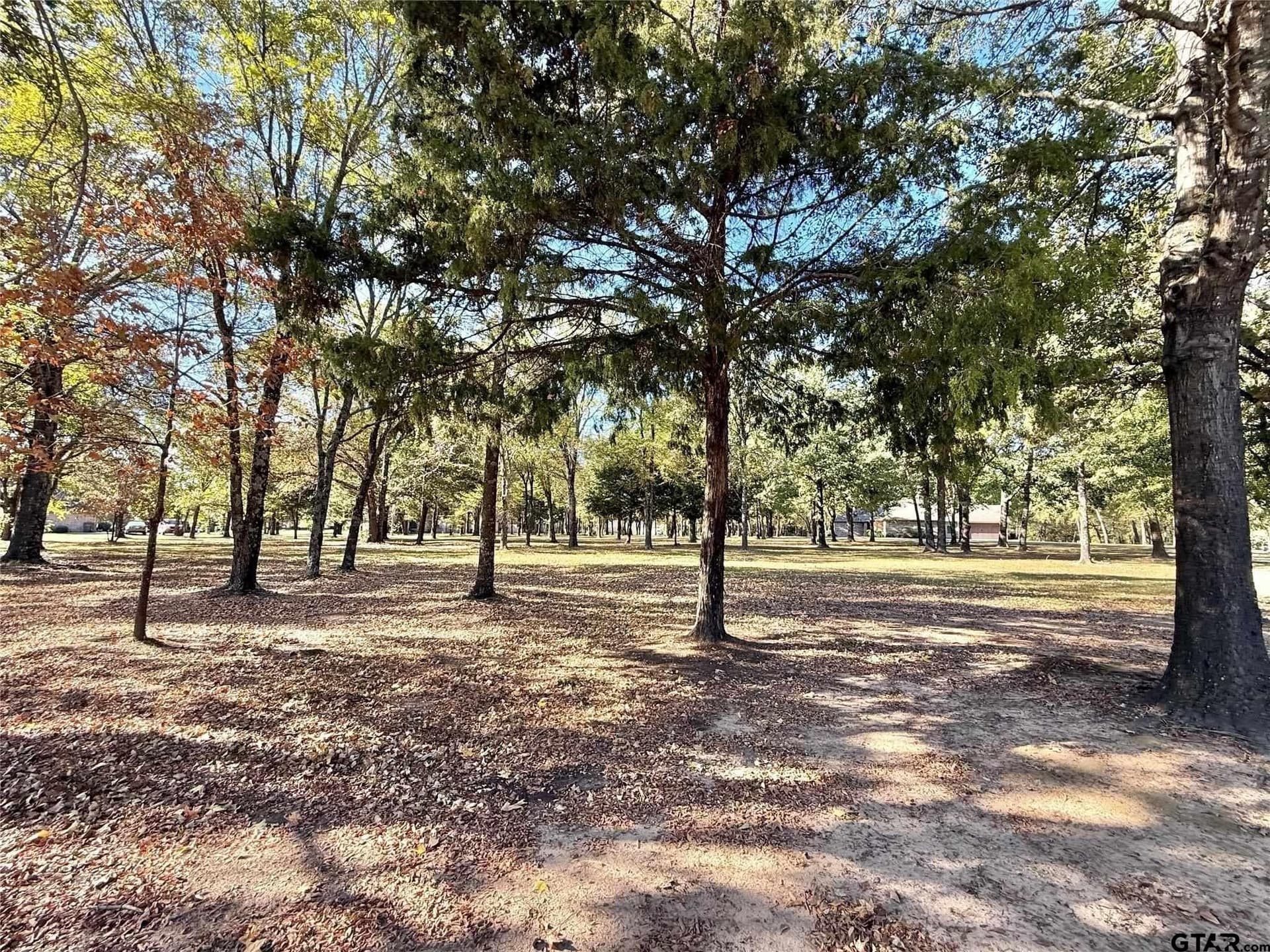 0.71 acres in Wood County - photo 8