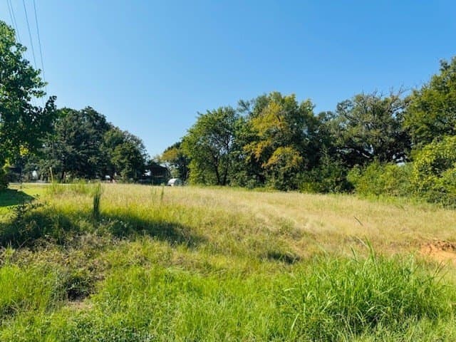 0.18 acres in Henderson County gallery image 2