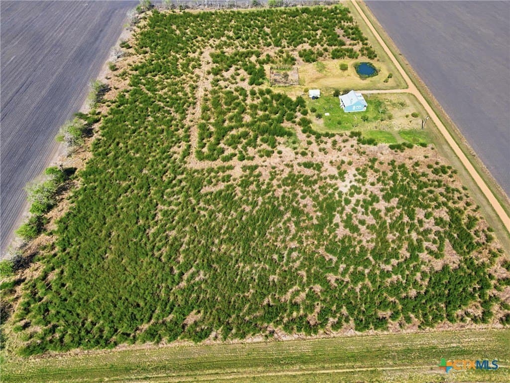 14.88 acres in Victoria County featured view