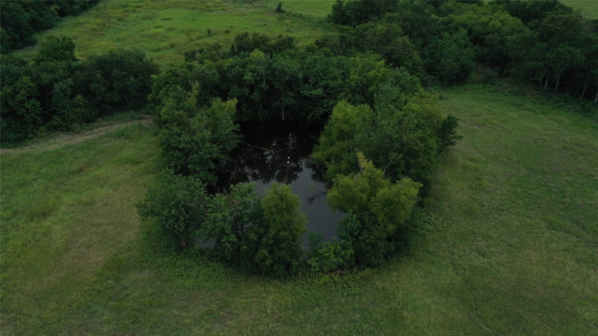 7.01 acres in Falls County - photo 7