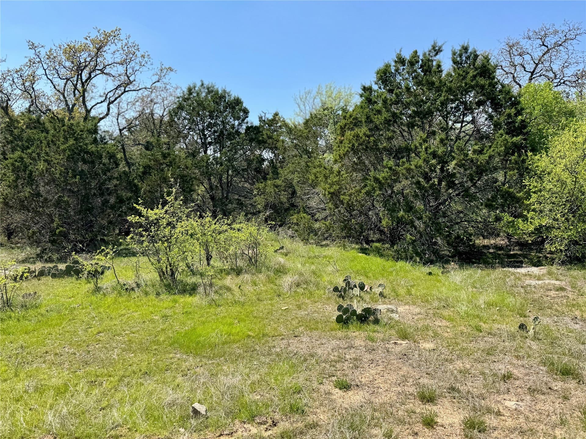 35 acres in Parker County - photo 10