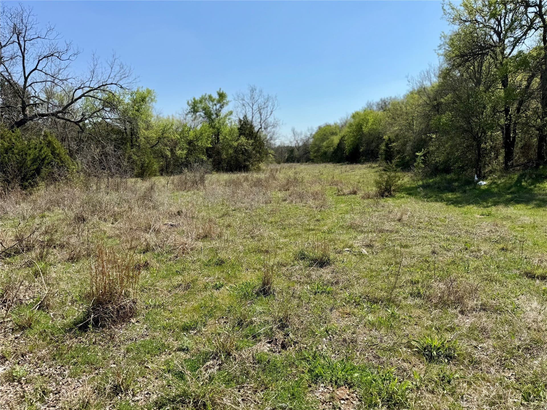35 acres in Parker County - photo 8