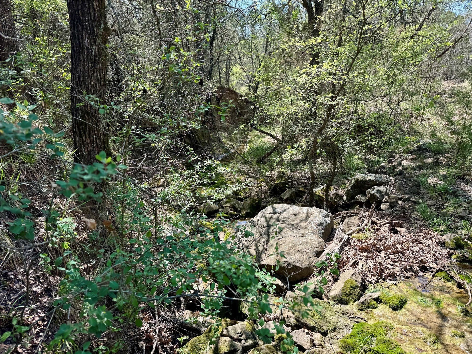 35 acres in Parker County gallery image 3