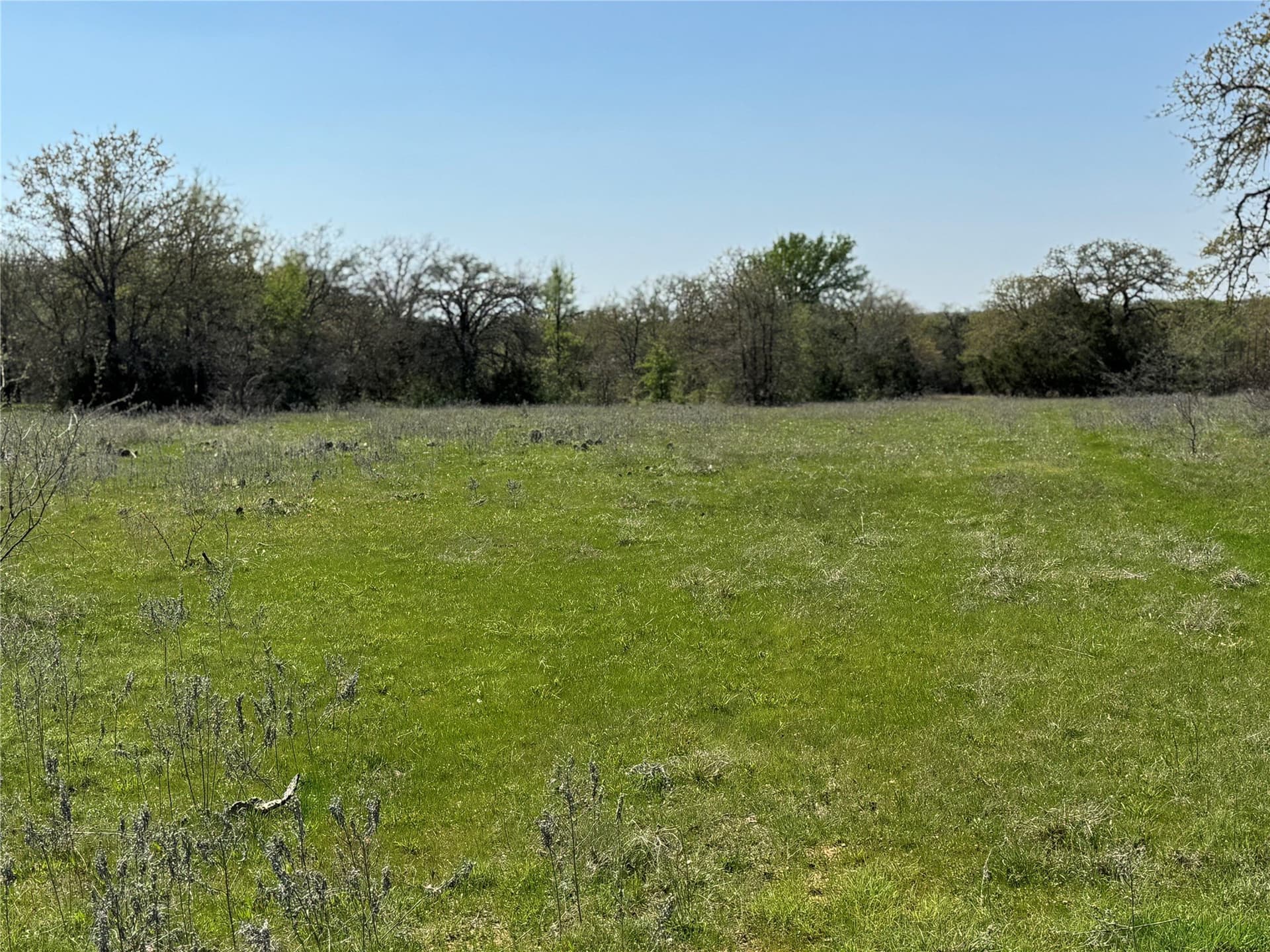 35 acres in Parker County - photo 7