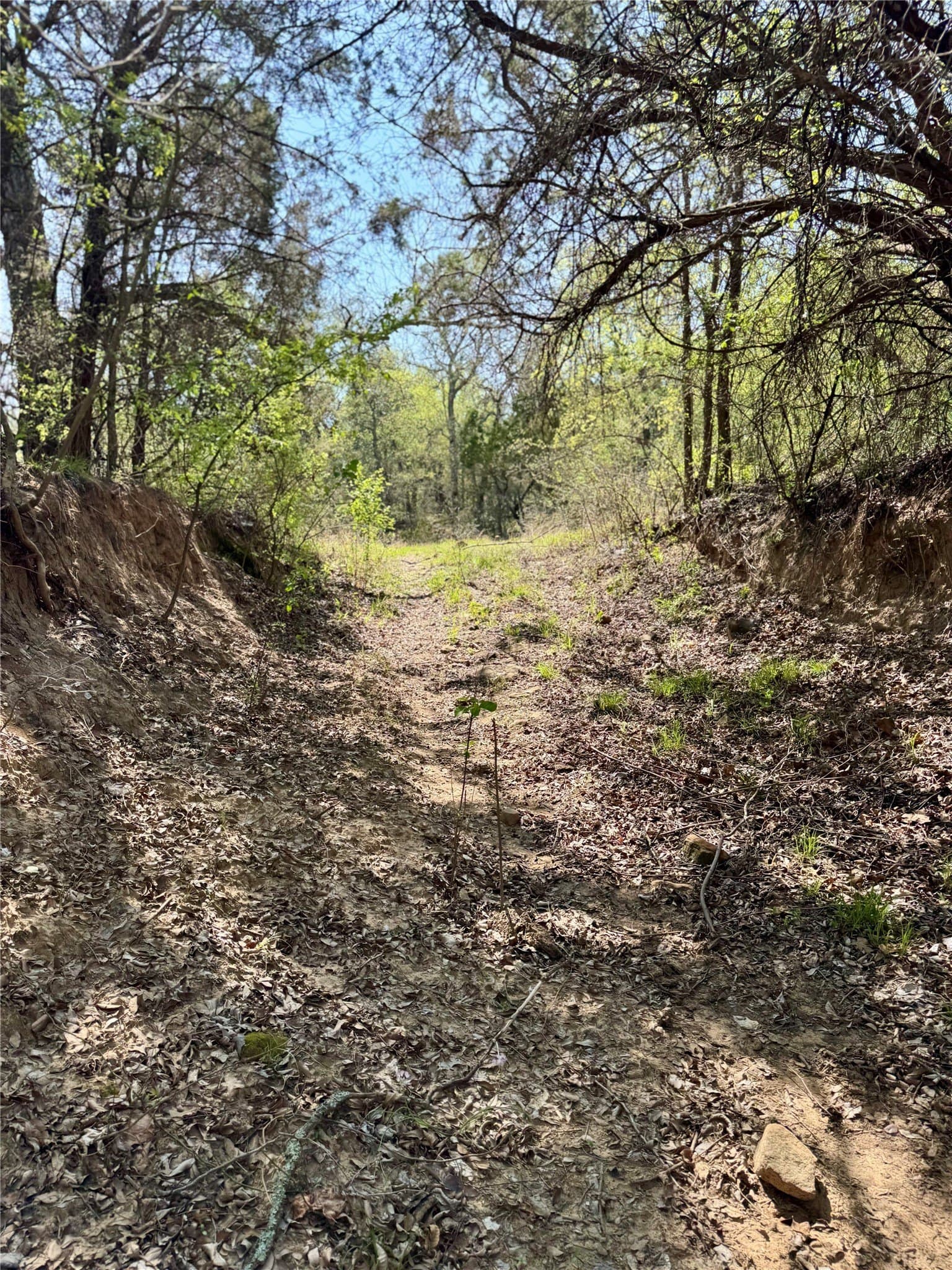 35 acres in Parker County - photo 11