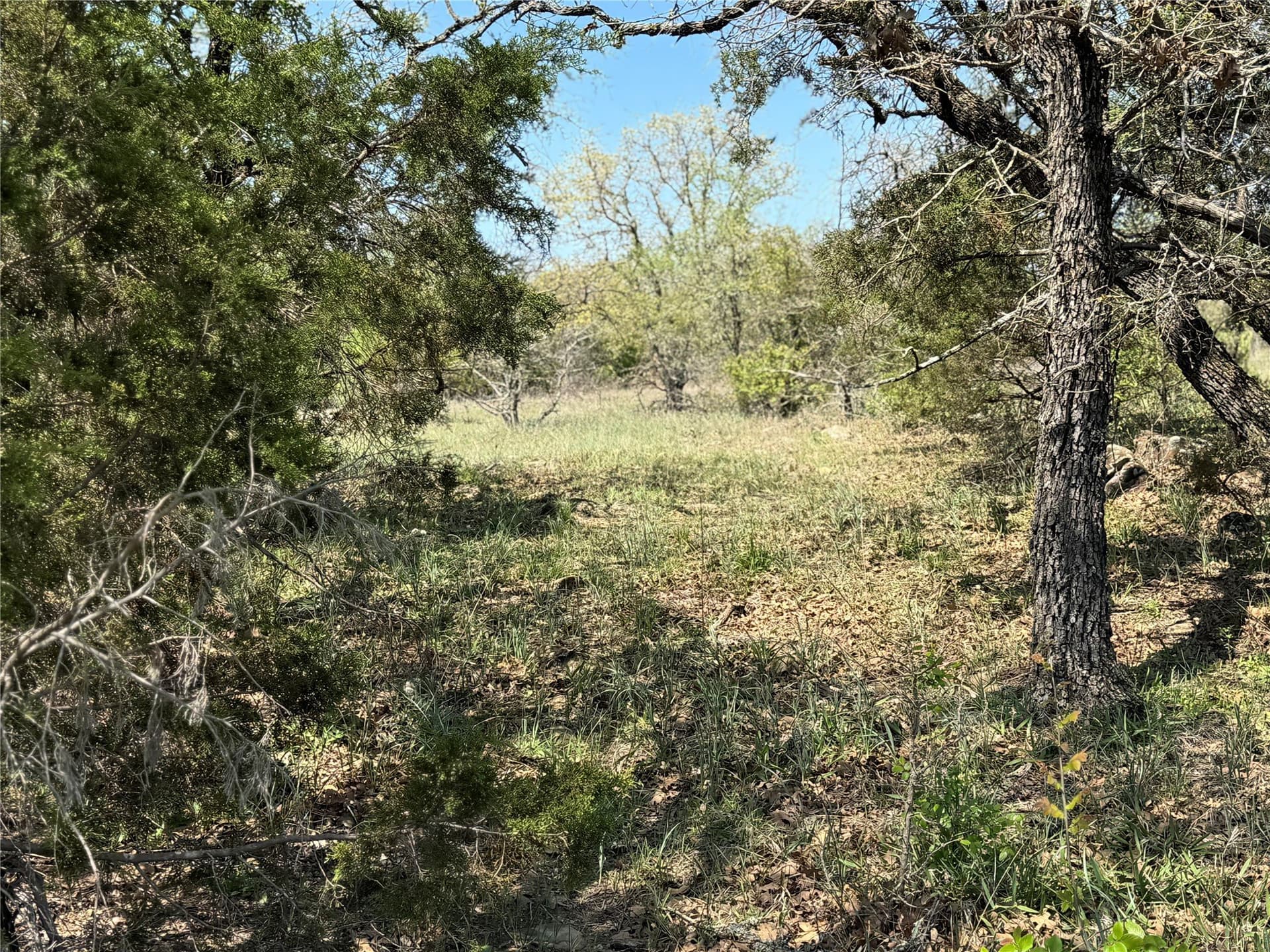 35 acres in Parker County gallery image 4
