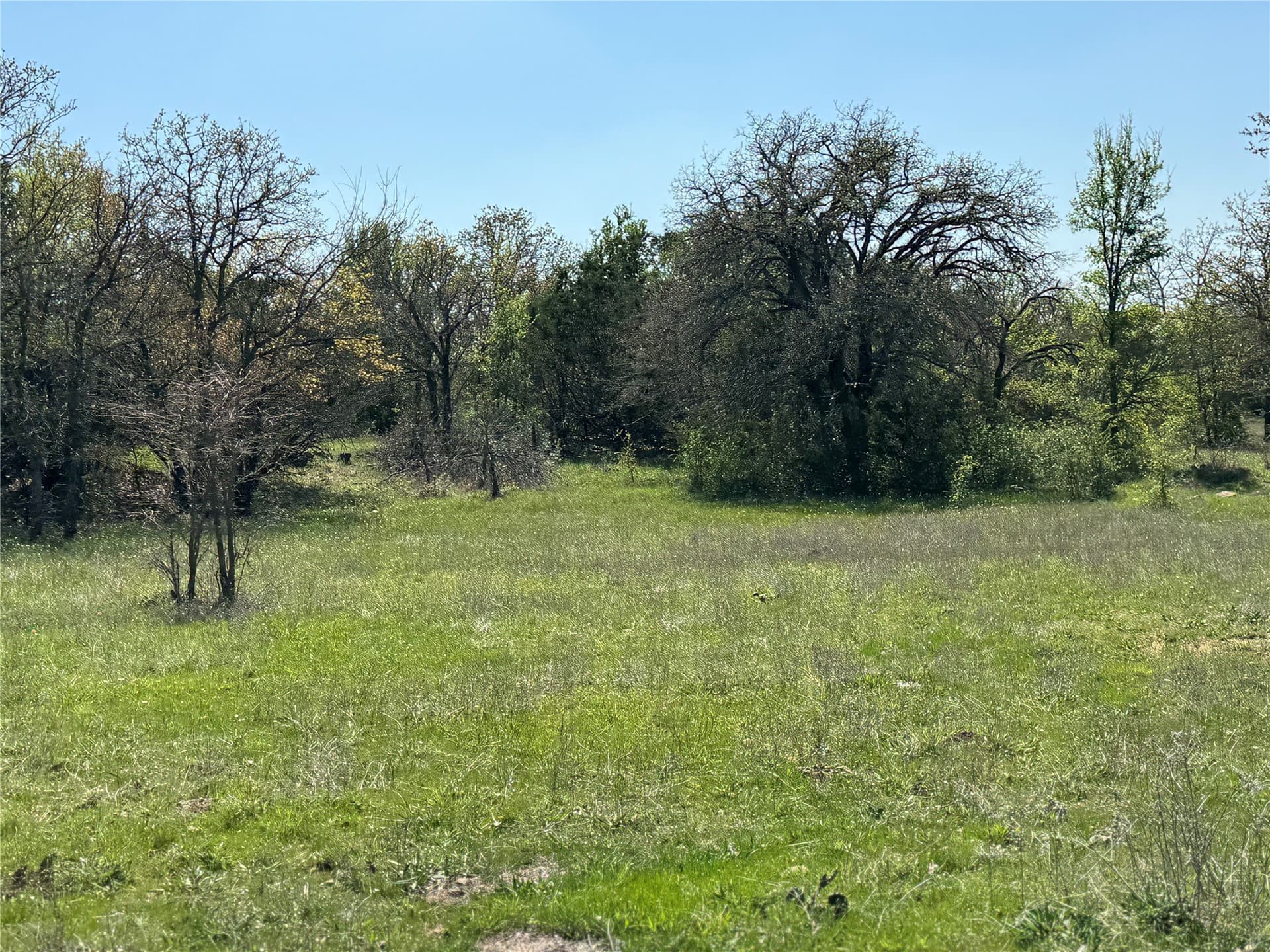 35 acres in Parker County - photo 6