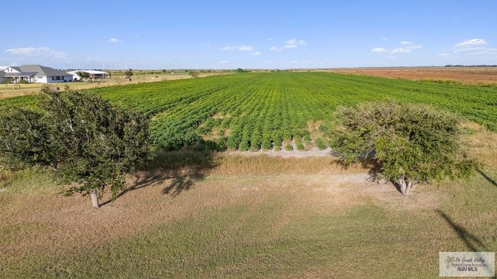 14.54 acres in CAMERON County - photo 11