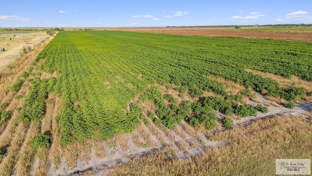 14.54 acres in CAMERON County - photo 12