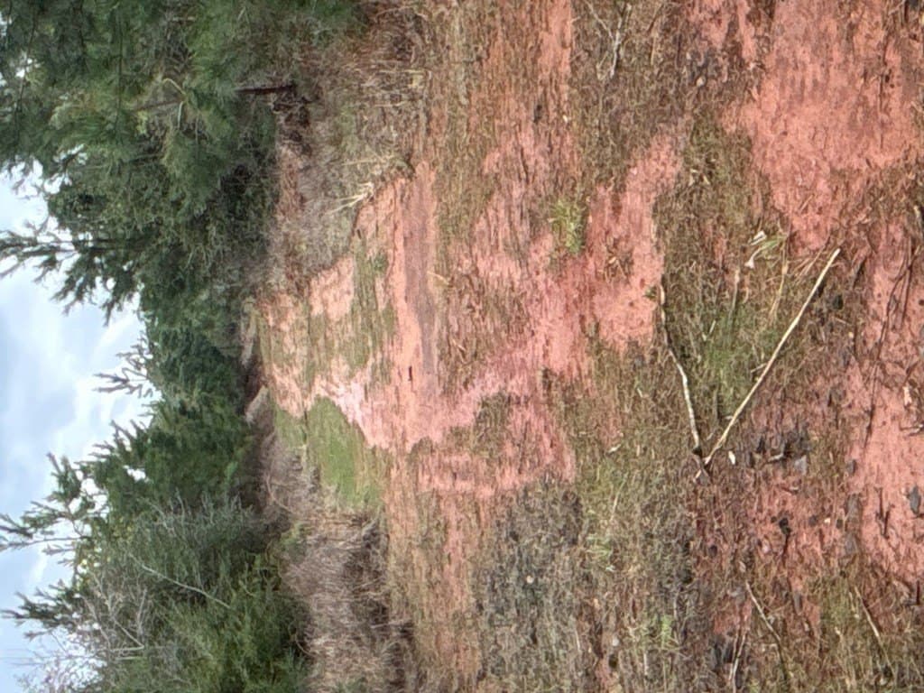 15 acres in Texas County gallery image 3