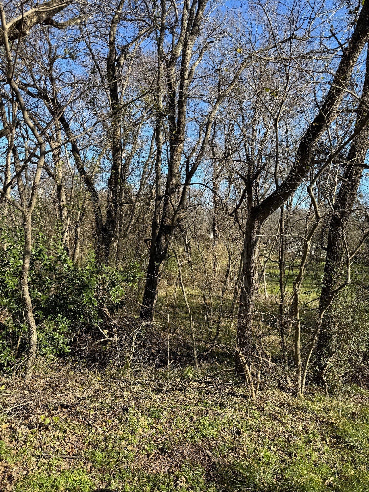 0.35 acres in Henderson County gallery image 2