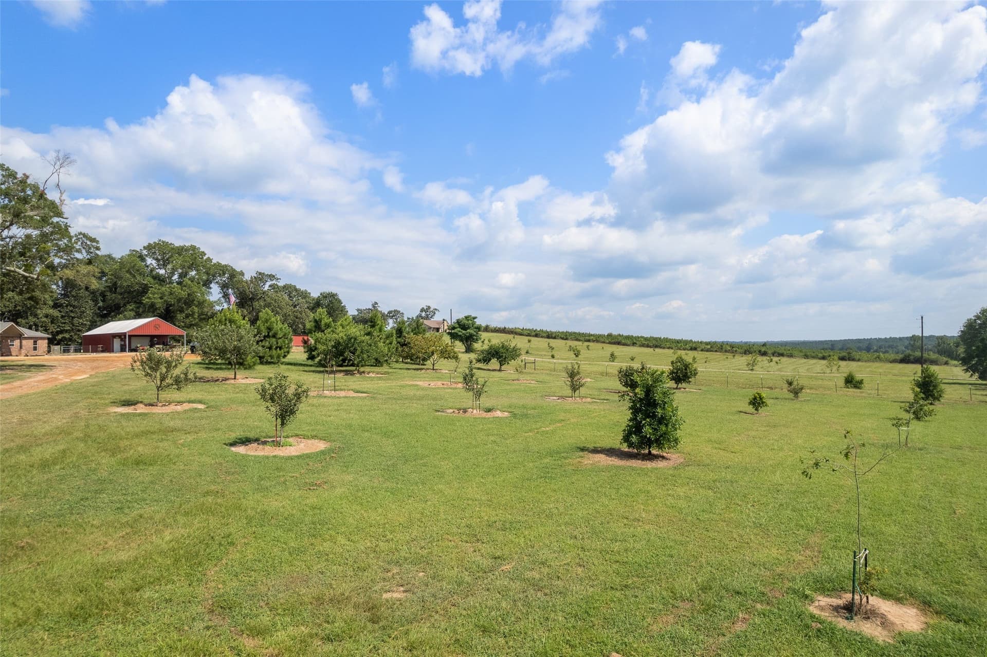 30.36 acres in Cass County - photo 28