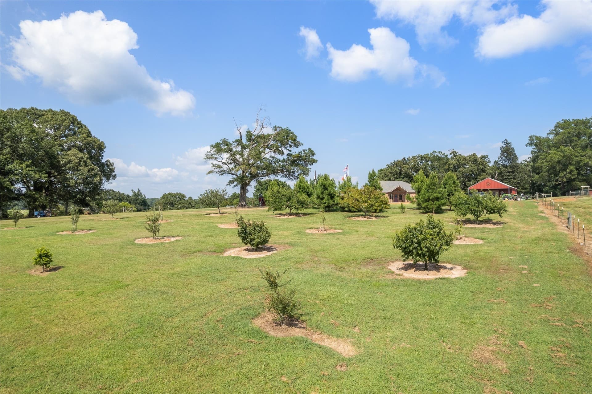 30.36 acres in Cass County - photo 29