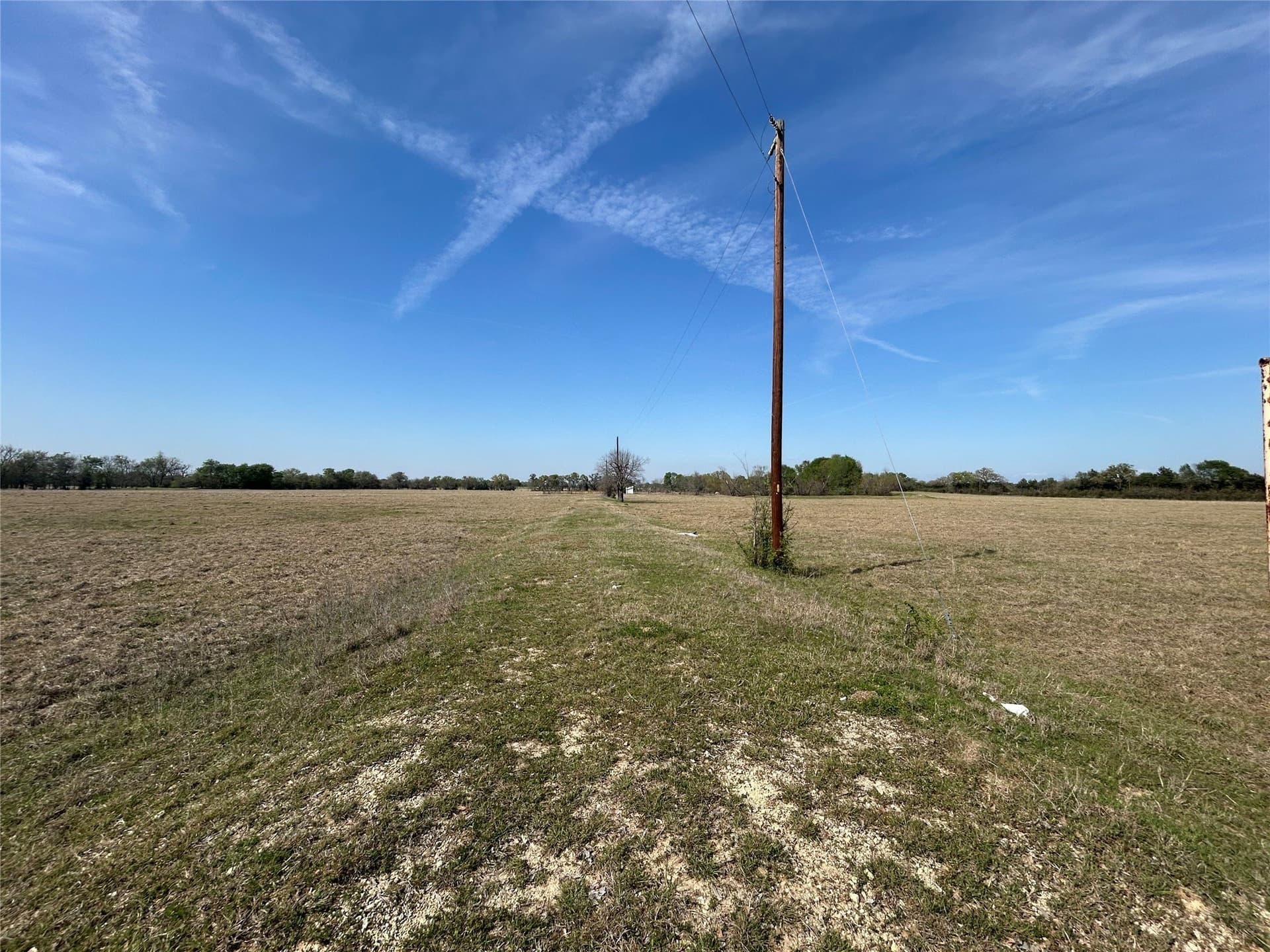 374 acres in Henderson County - photo 13
